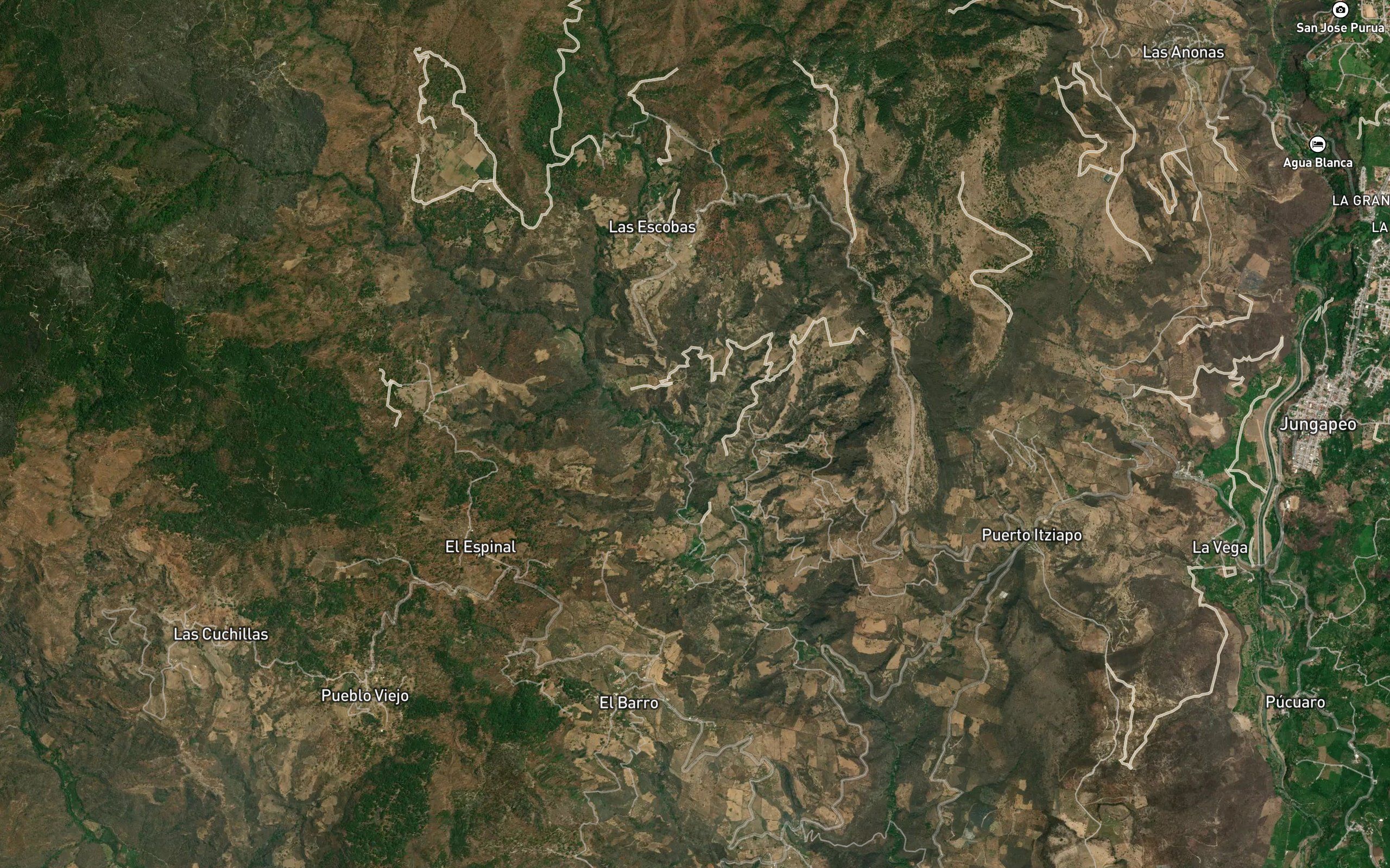 La Colmena
