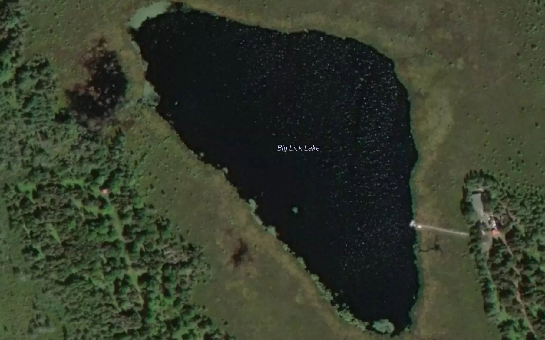 Satellite map of the Big Lick Lake