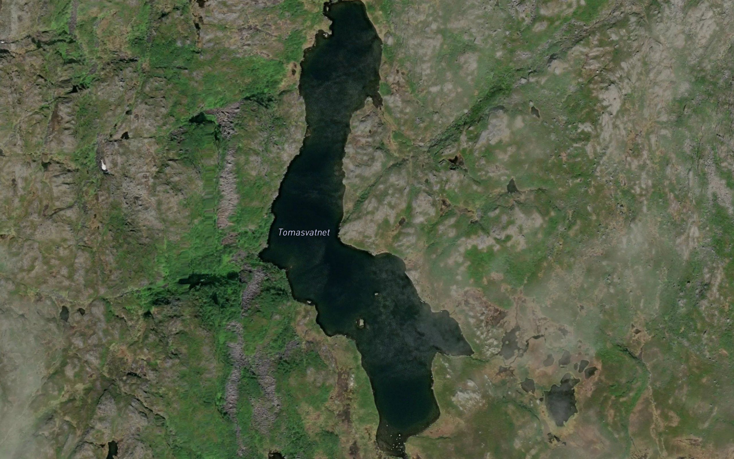 Tomasvatnet