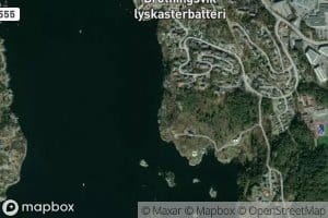 Oksebasen