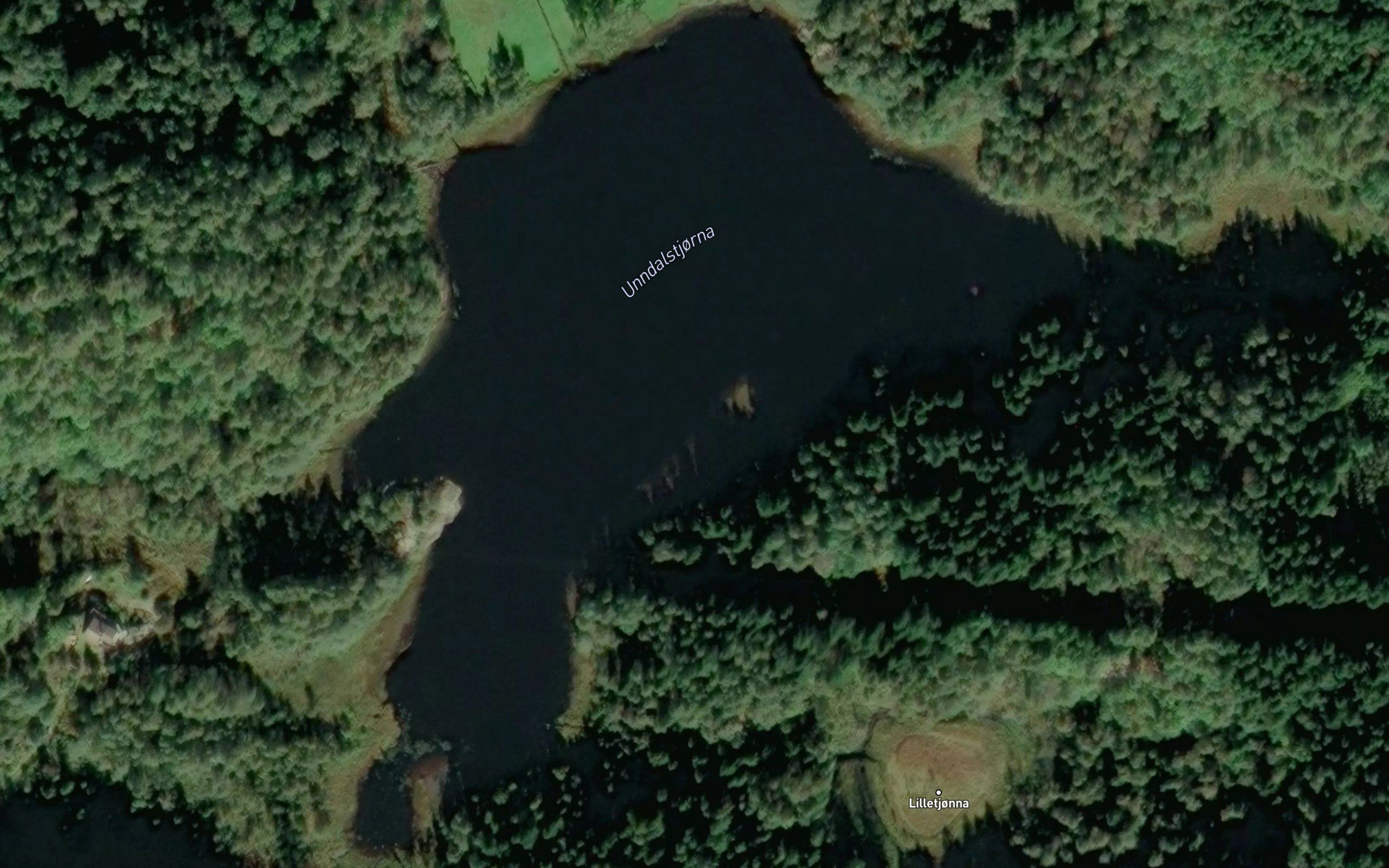 Undalstjonna