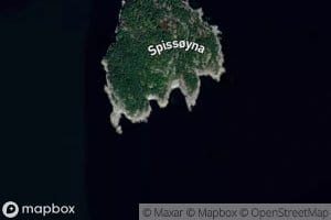 Spissoyvikane