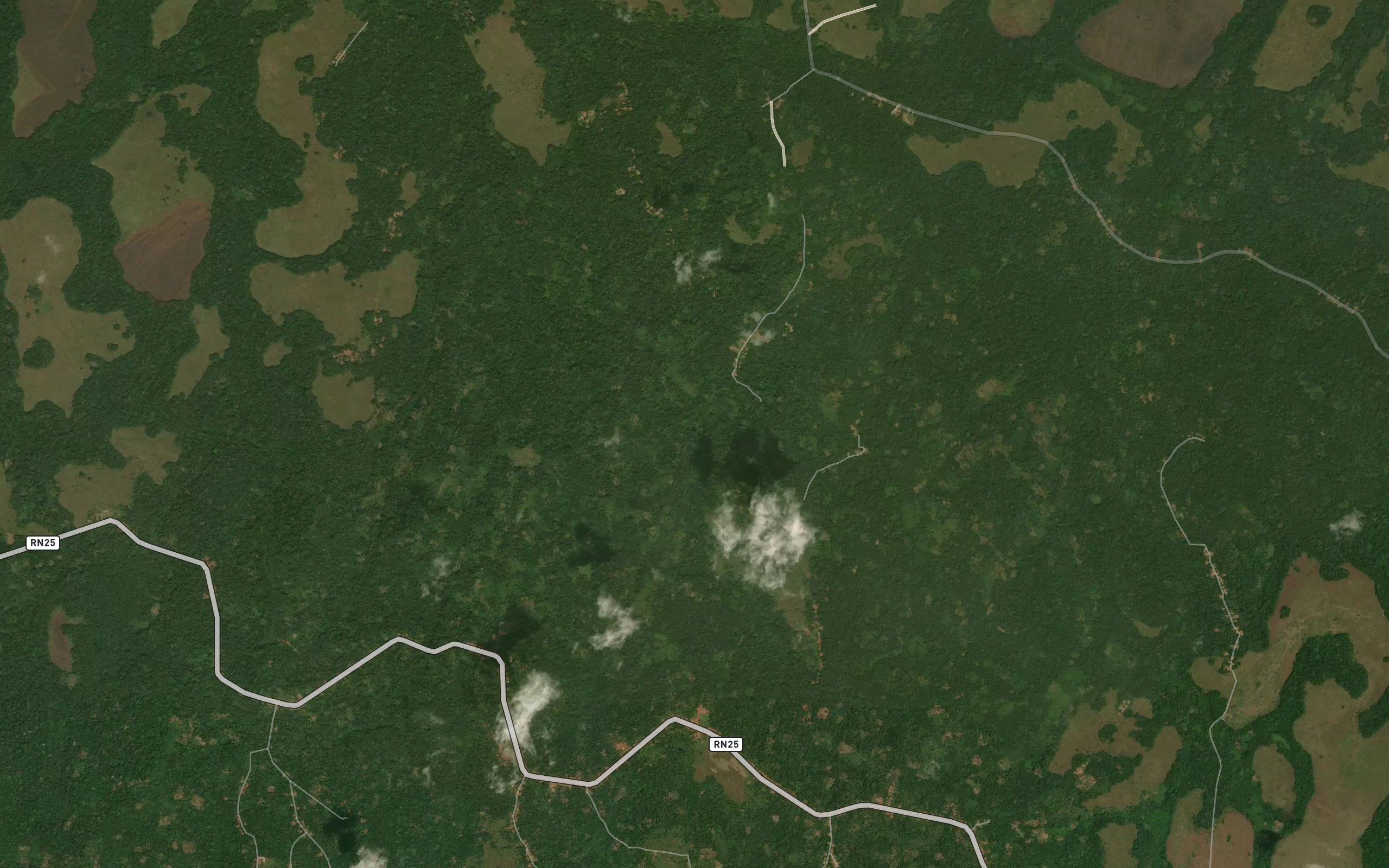 Turumbo