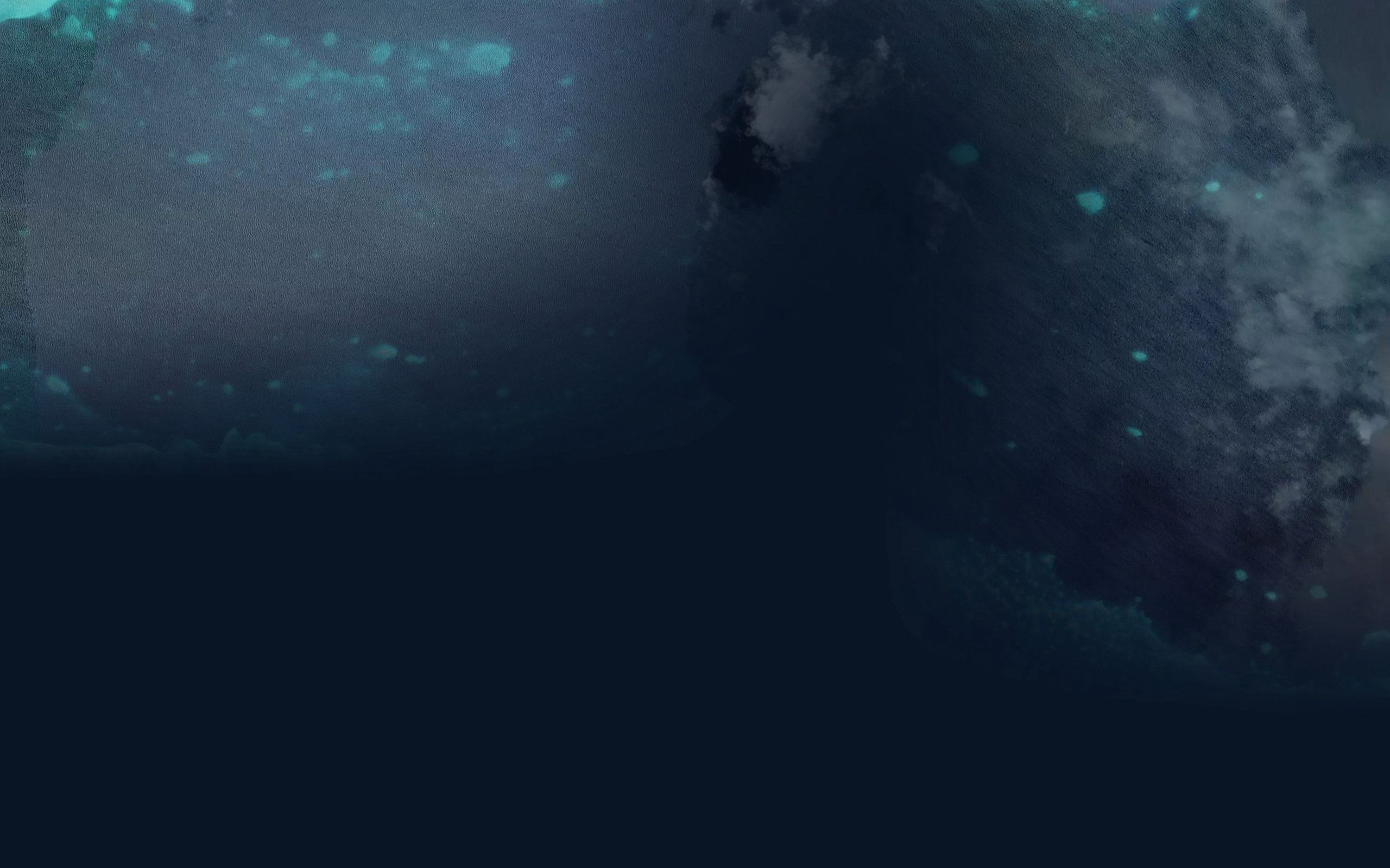 Long Reef