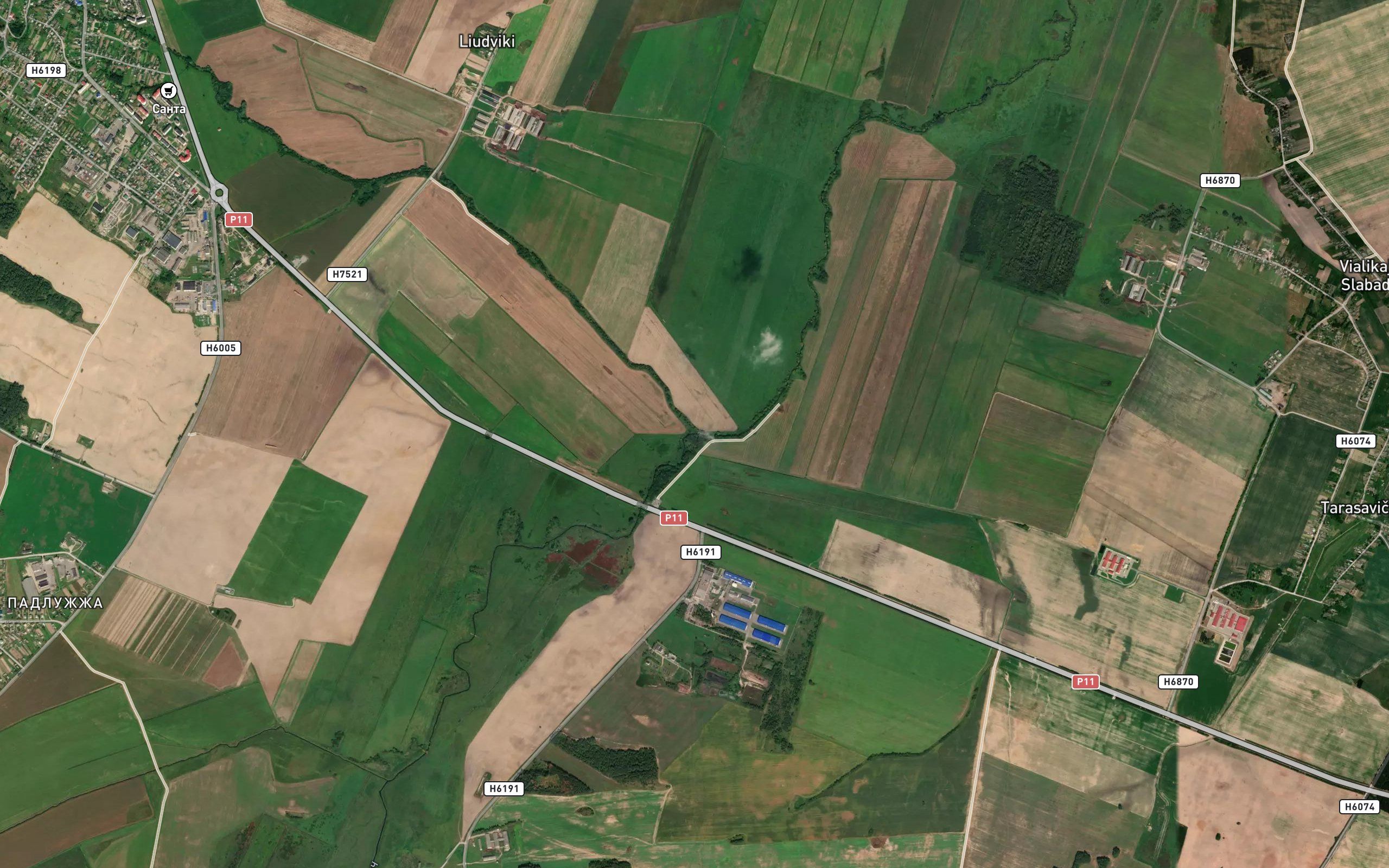 Ruta
