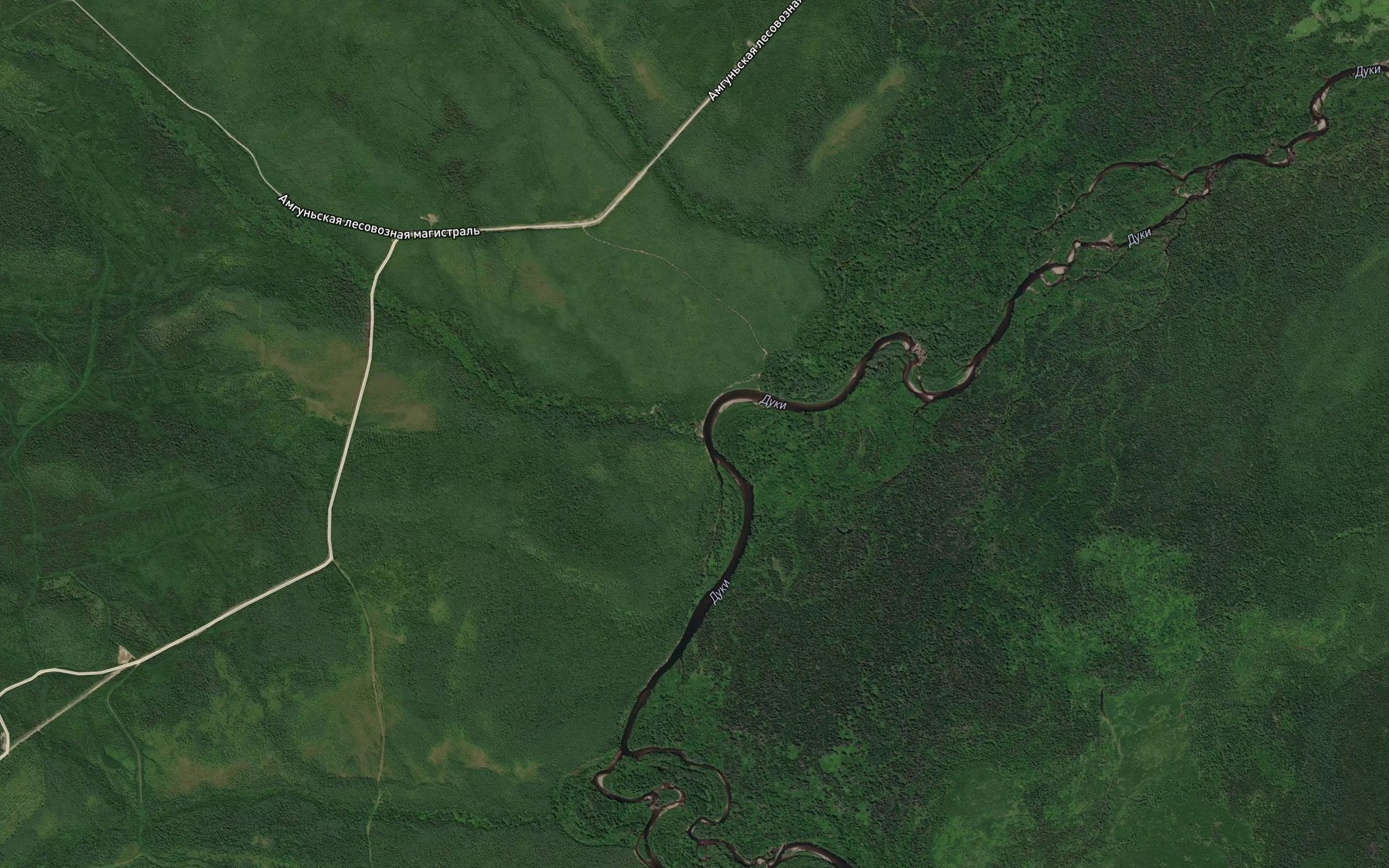 Satellite map of the Glukharinyy
