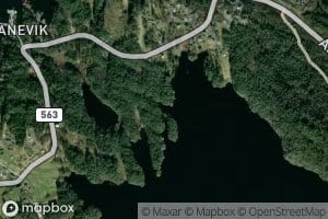 Hunevika