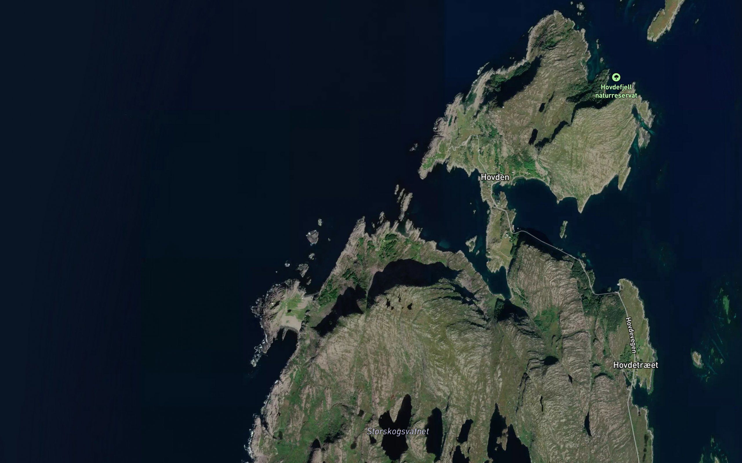 Skjelvika