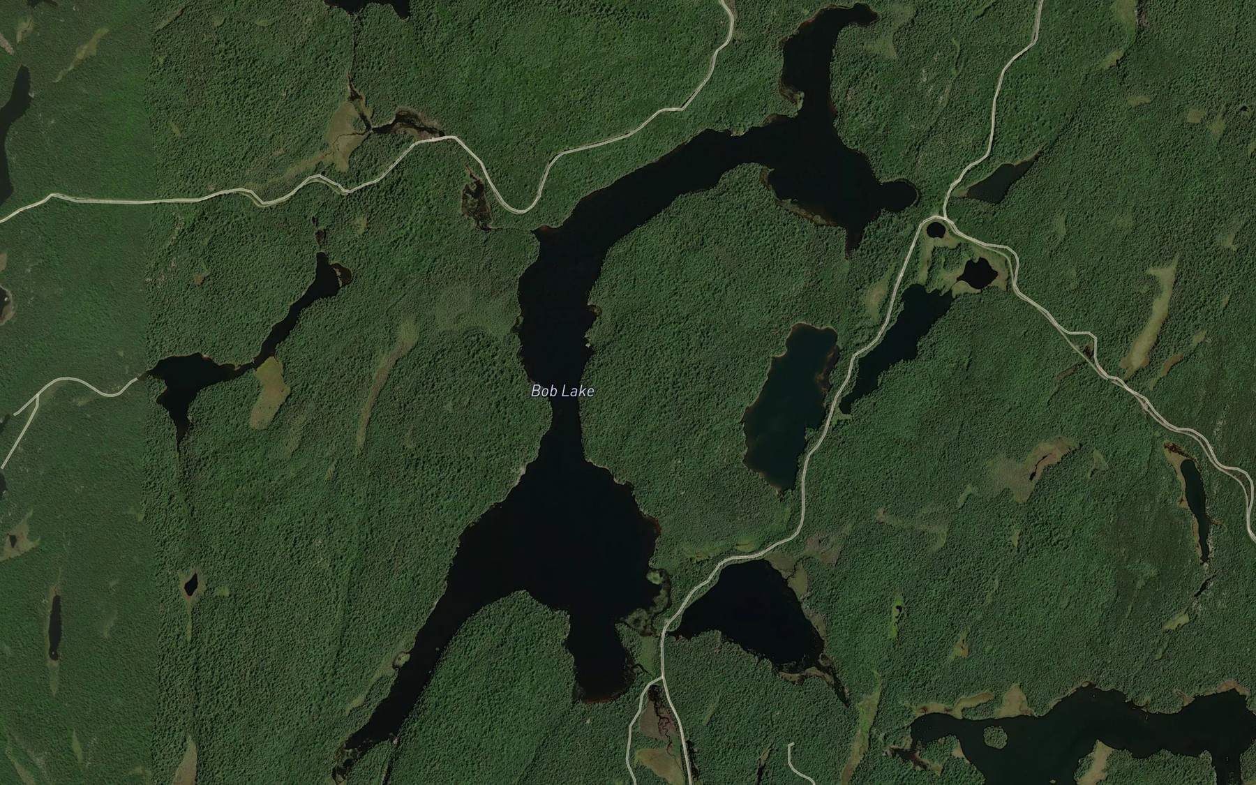 Satellite map of the Bob Lake