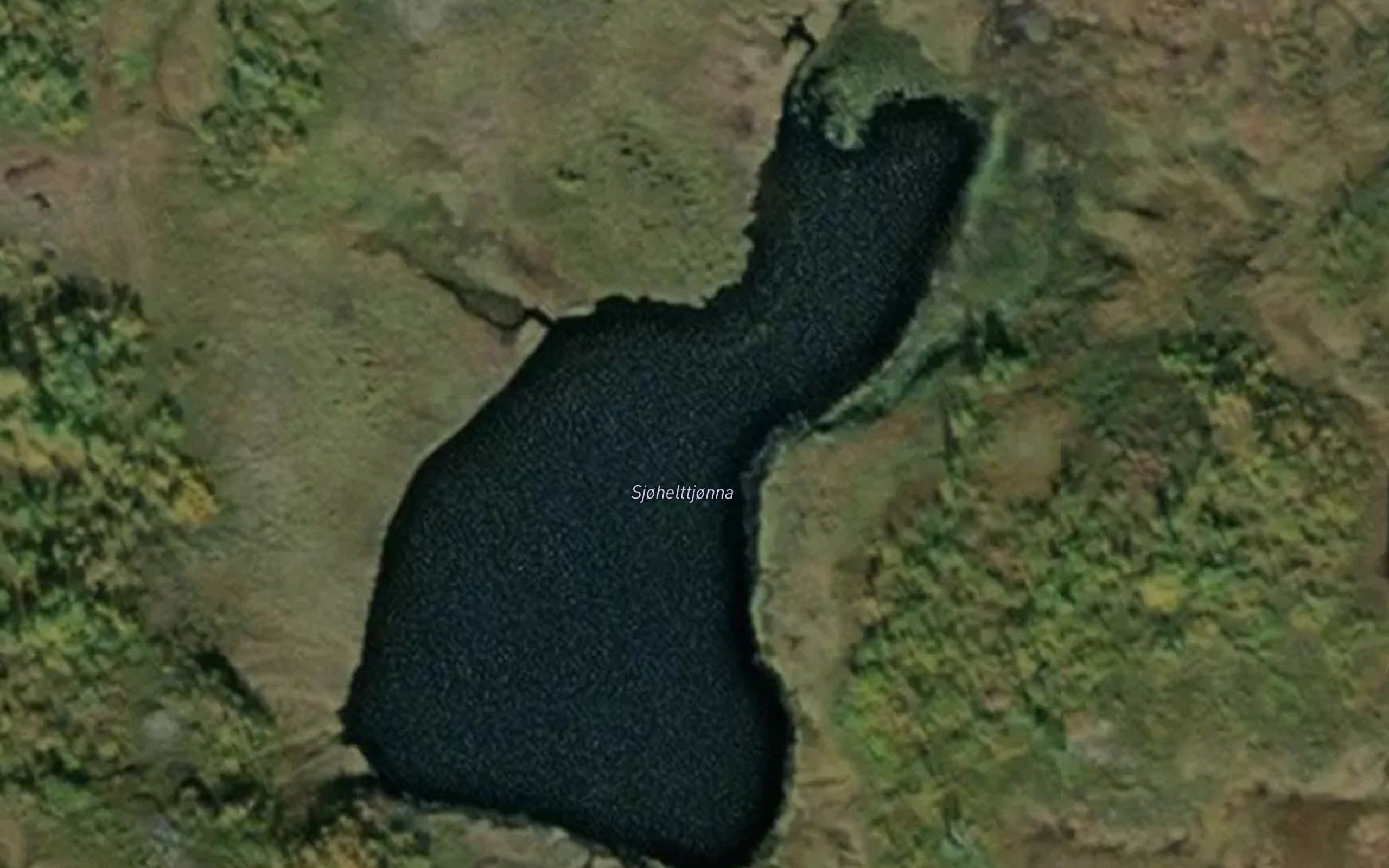Sjohelttjonna
