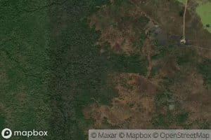 Presa Los Guasimitos