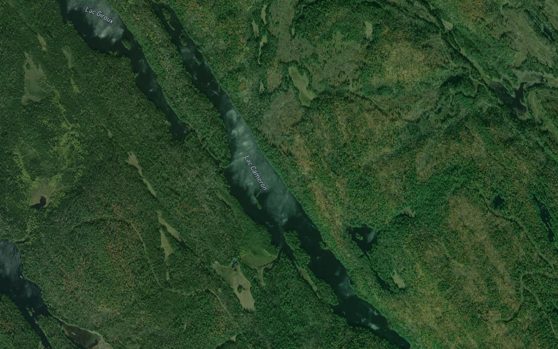 Satellite map of the Lac Cameron