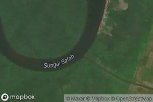 Sungai Sungsang