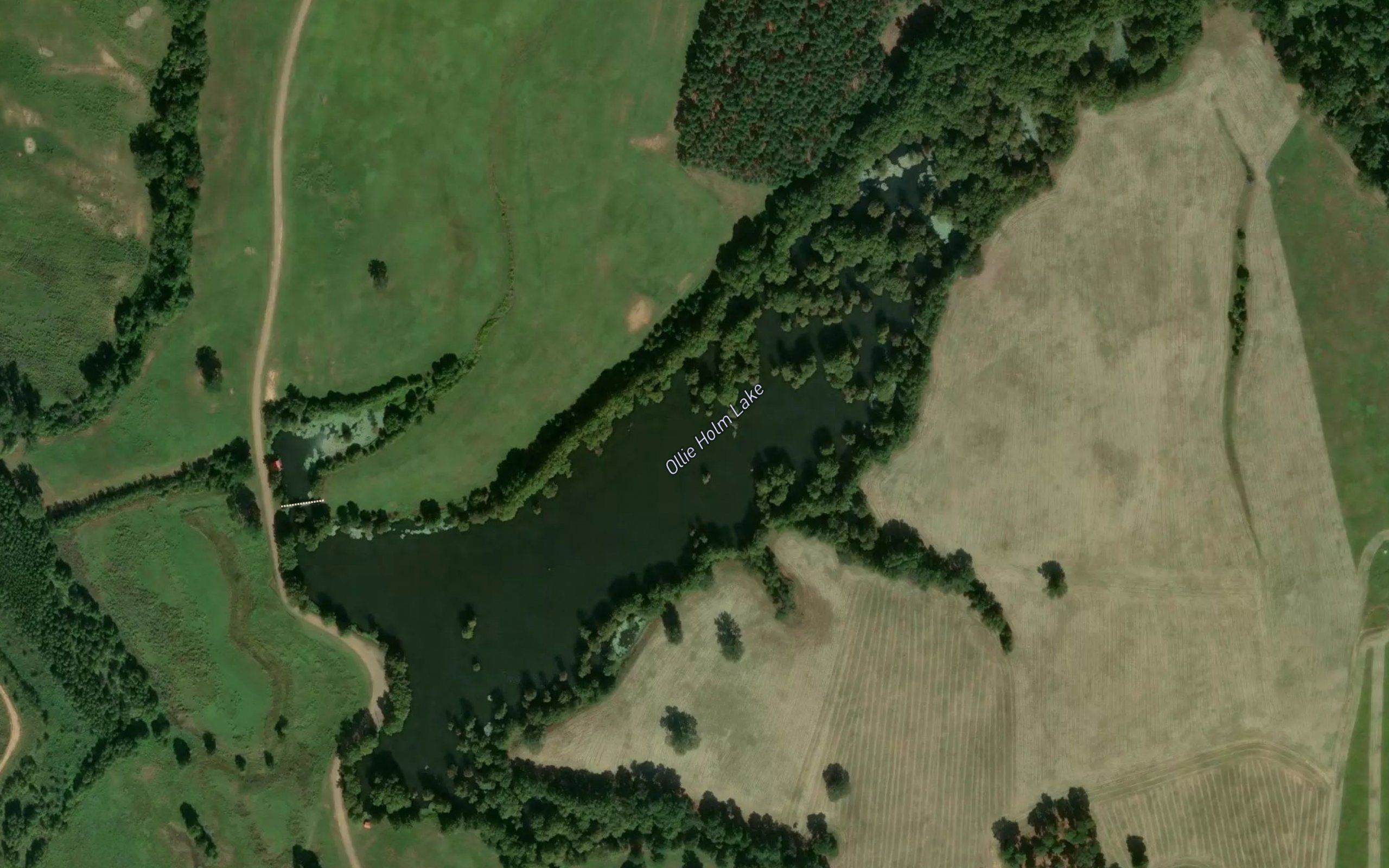 Ollie Holm Lake