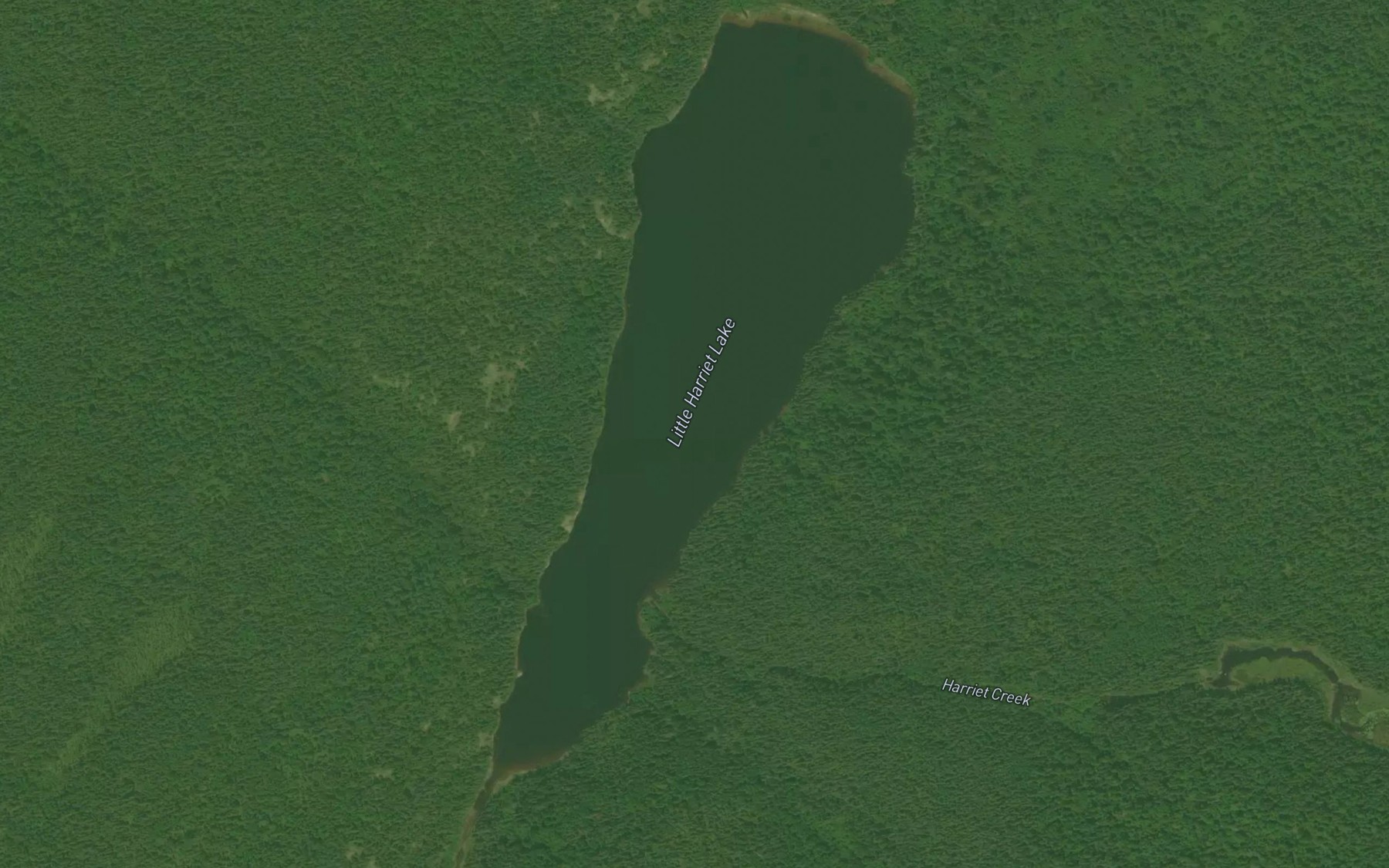 Satellite map of the Little Harriet Lake