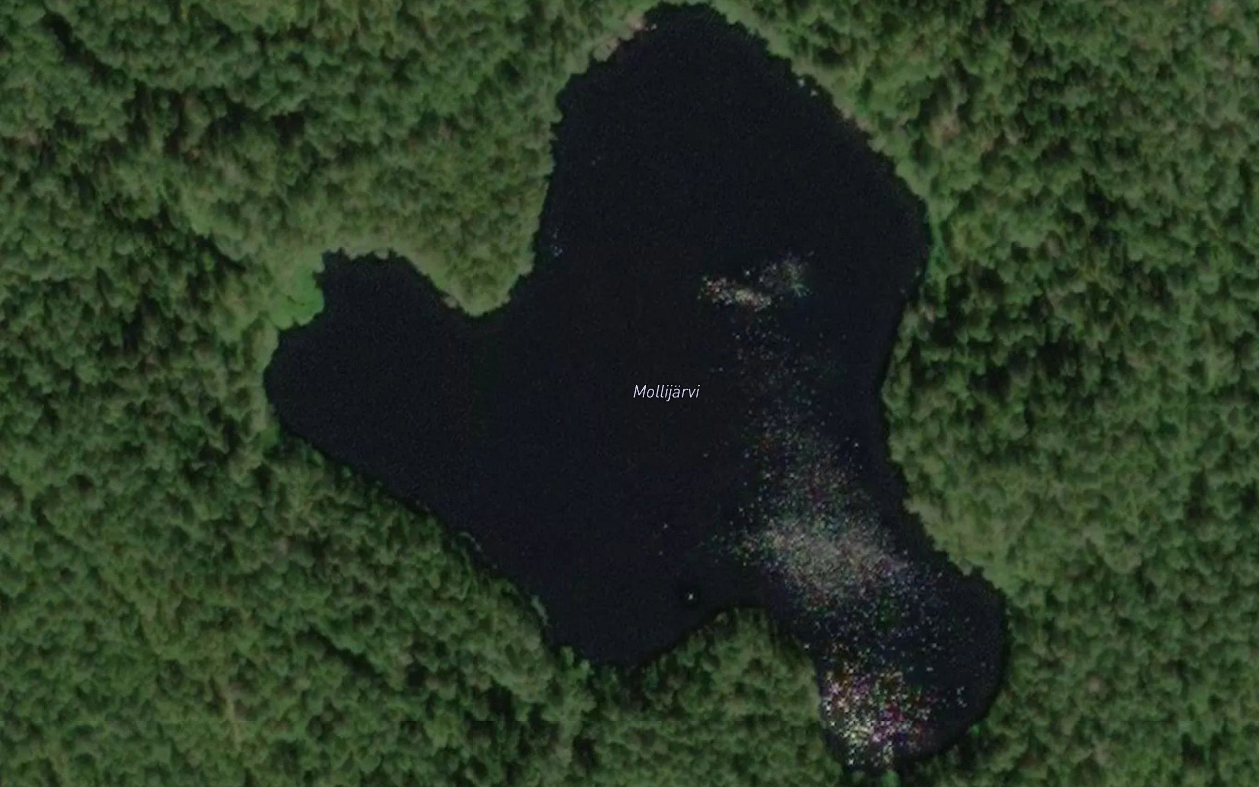 Mollijarvi