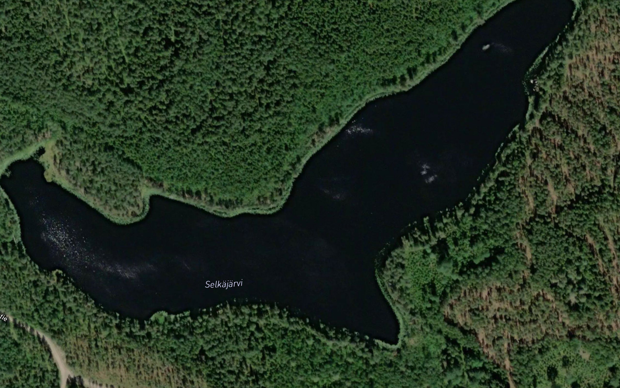 Selkajarvi