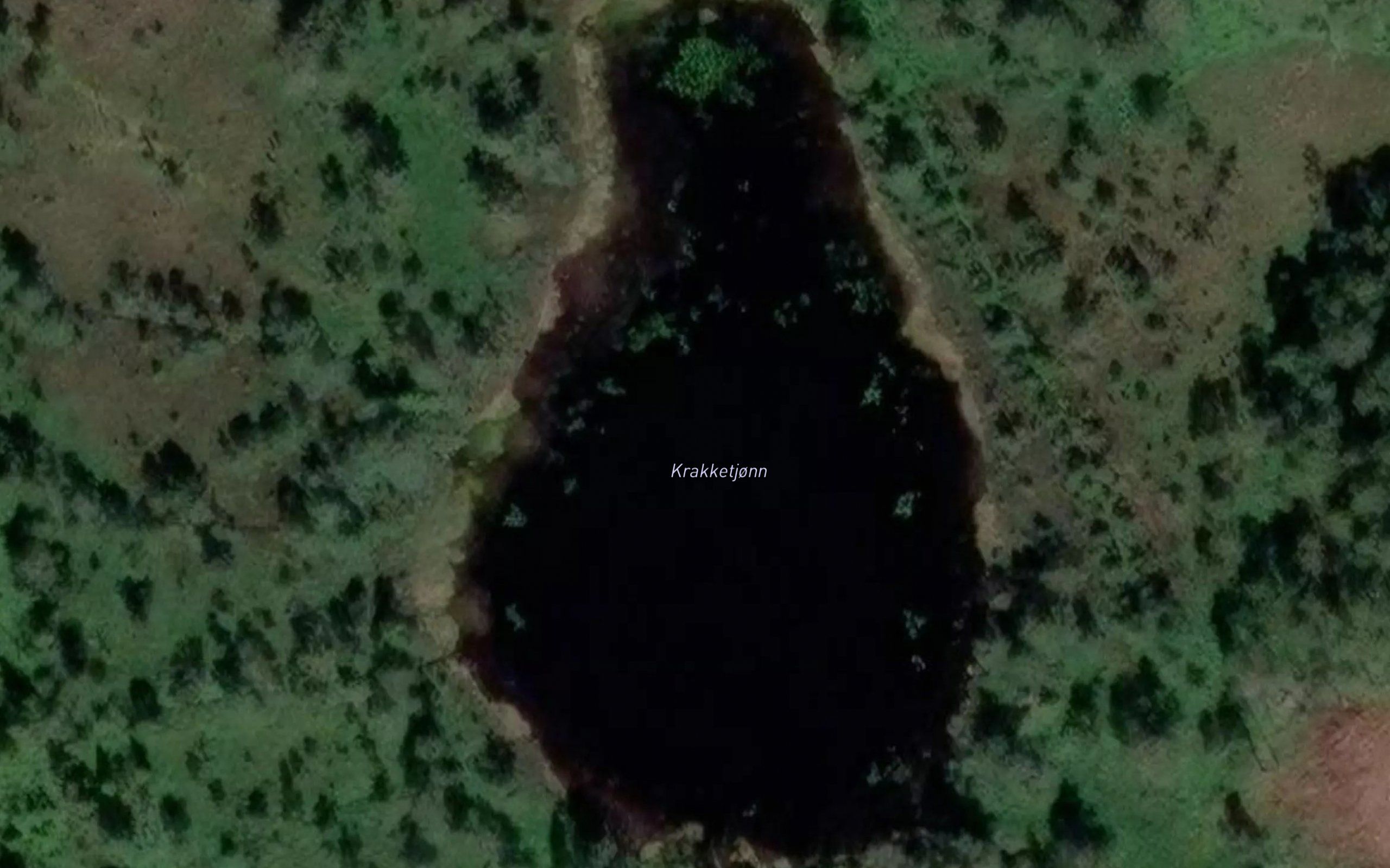 Krakketjonn