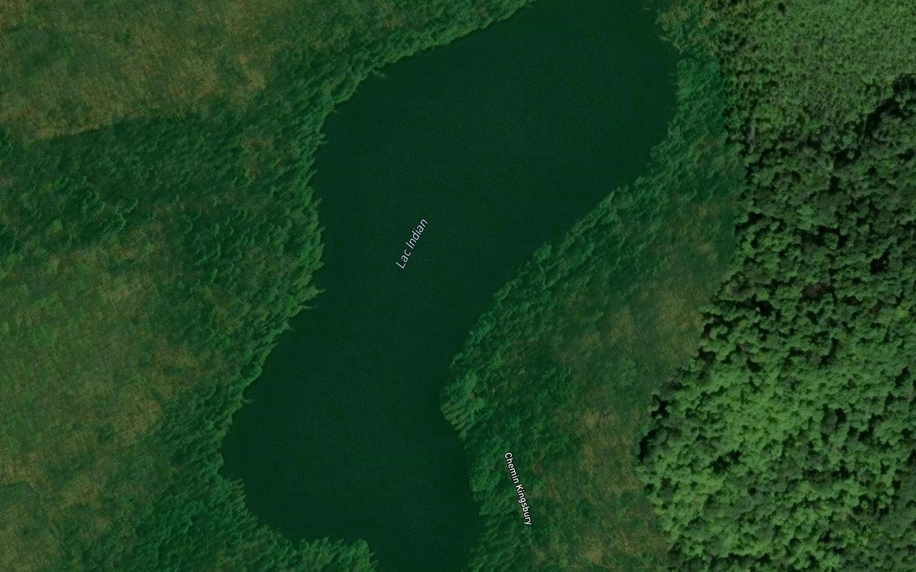 Satellite map of the Lac Indian
