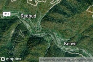 Pounding Mill Branch