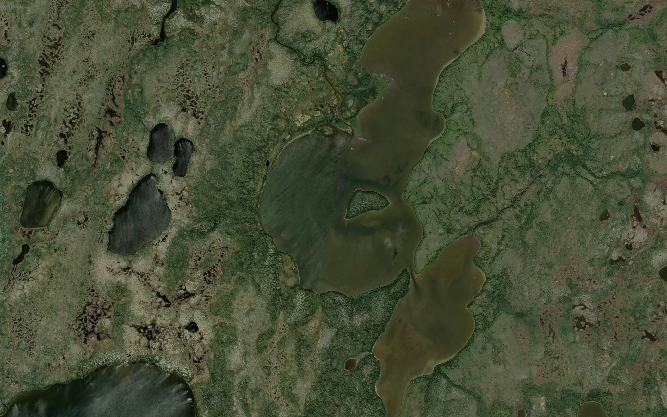 Moss Lake