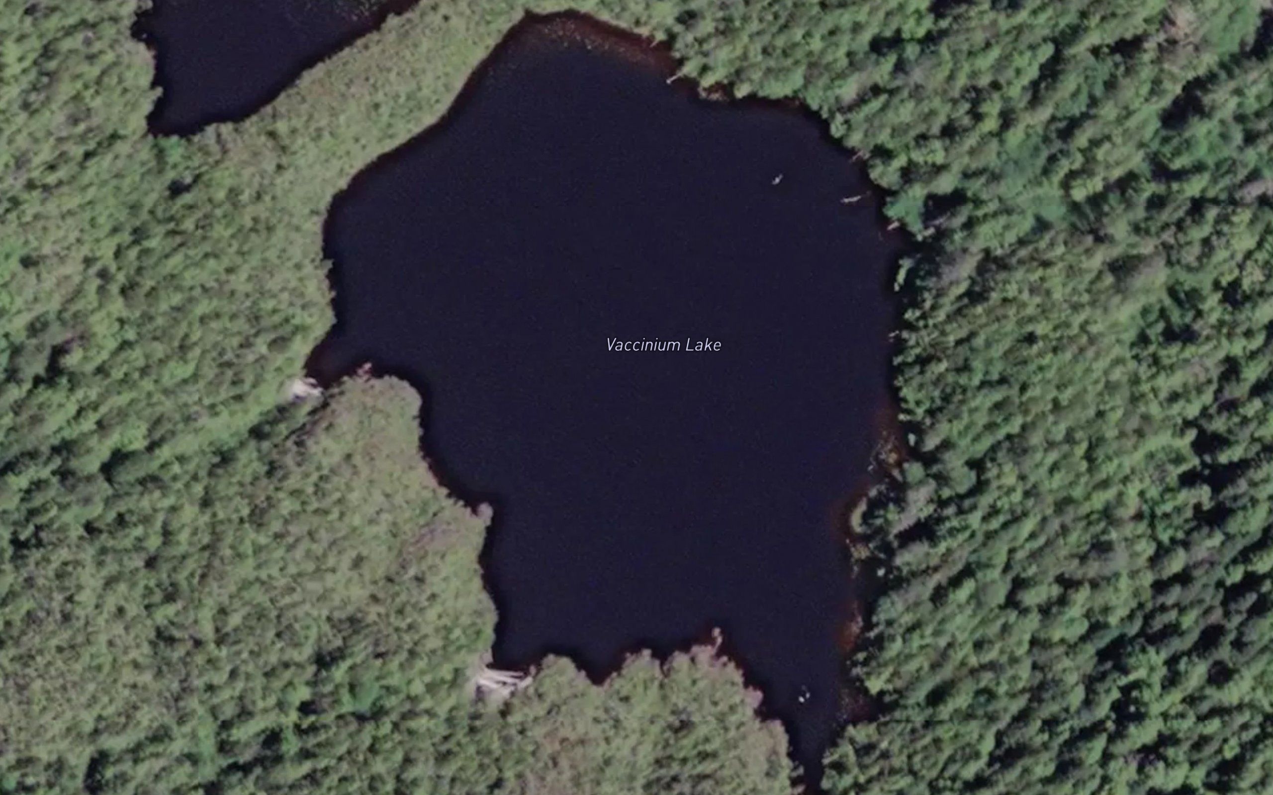 Vaccinium Lake