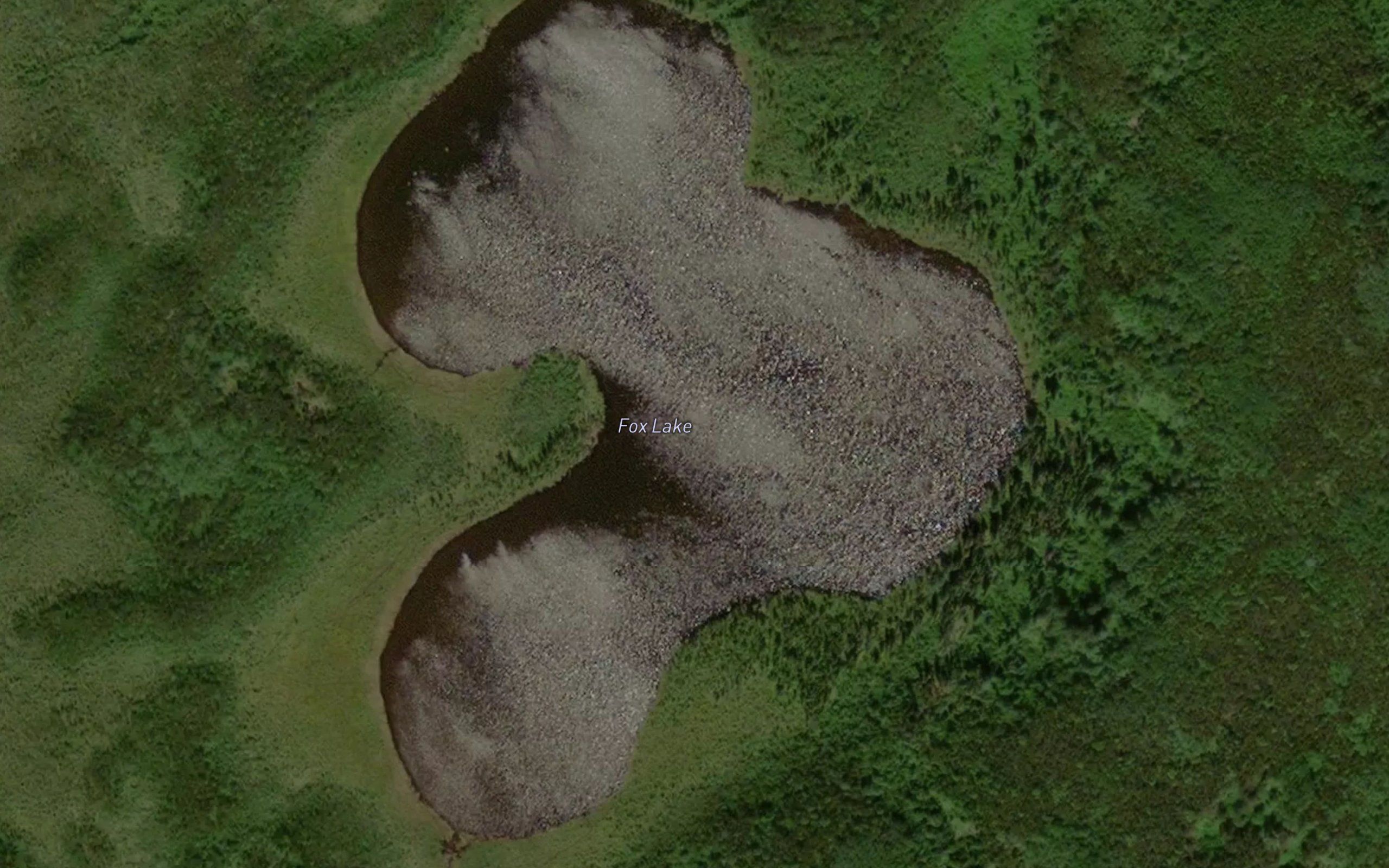 Fox Lake