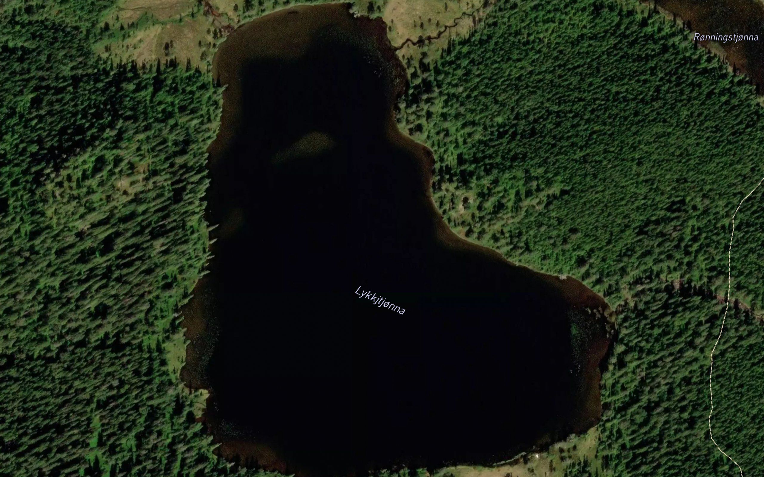 Loktjorna