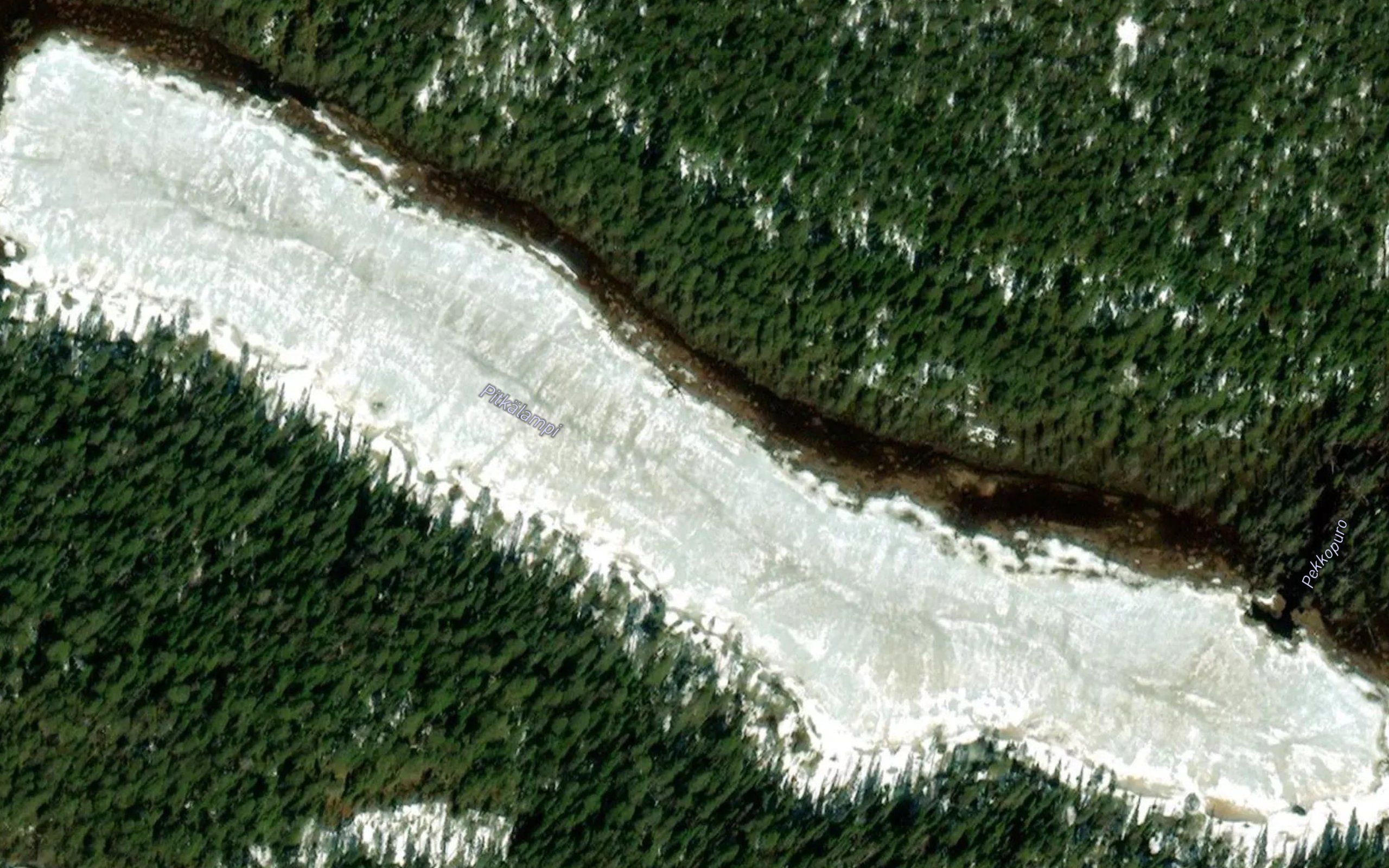 Pitkalampi