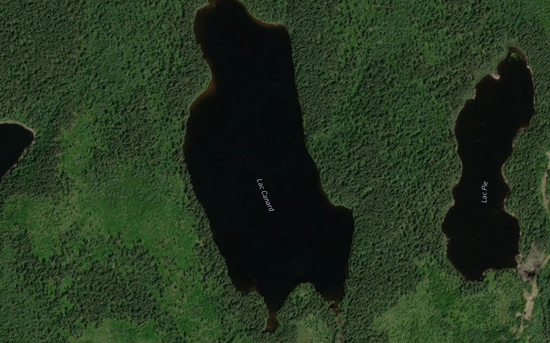 Satellite map of the Lac Canard