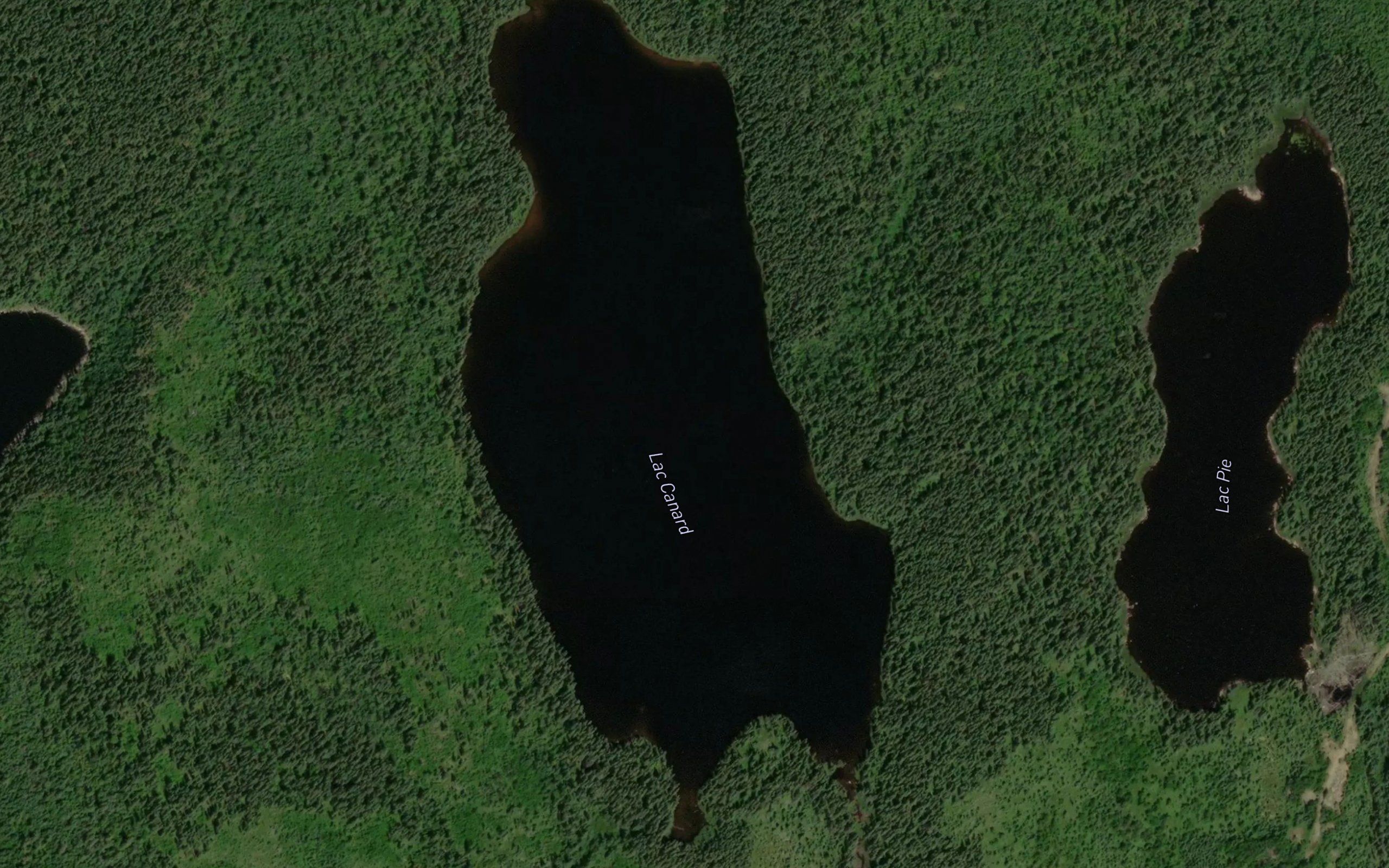 Lac Canard