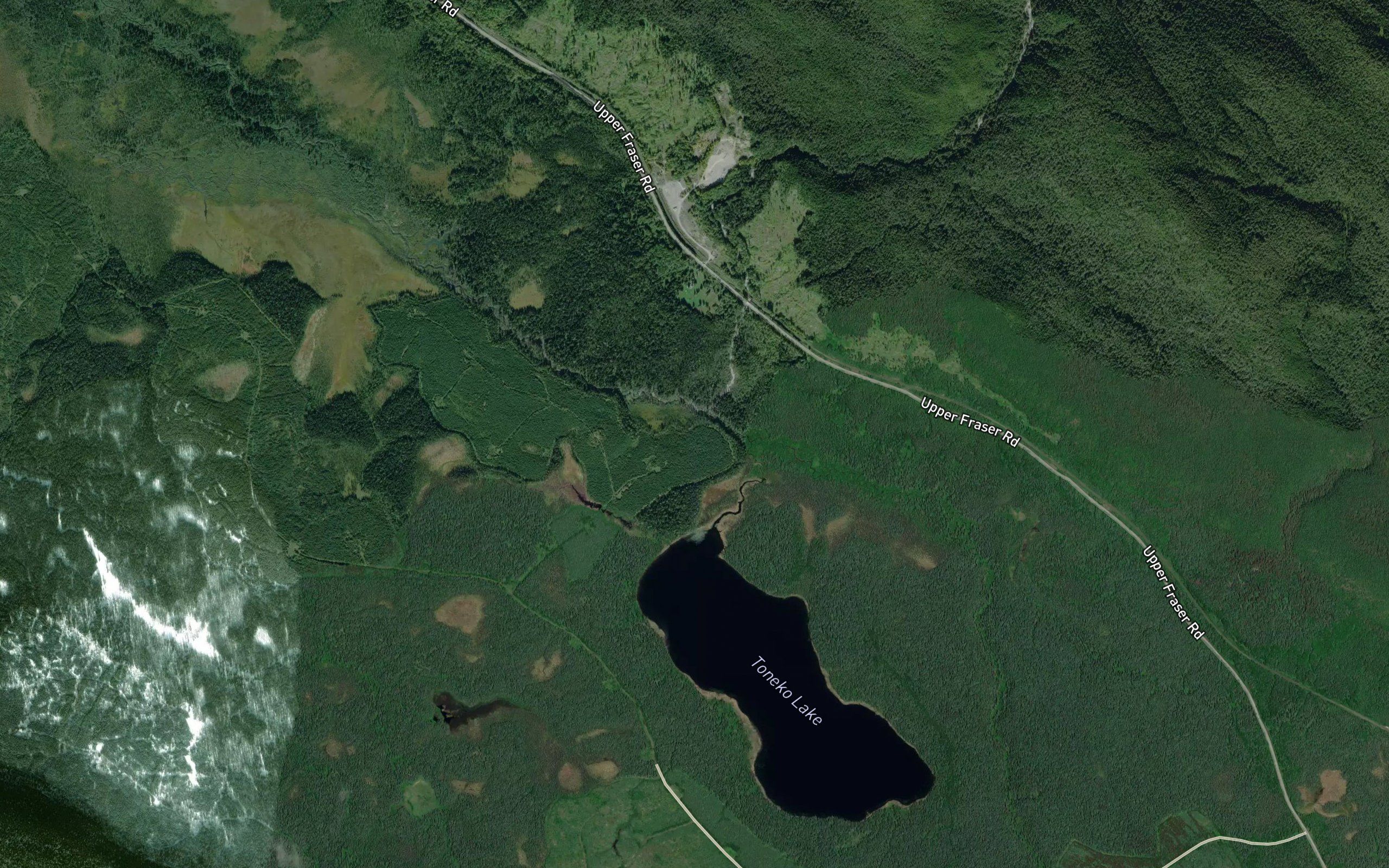 Toneko Creek