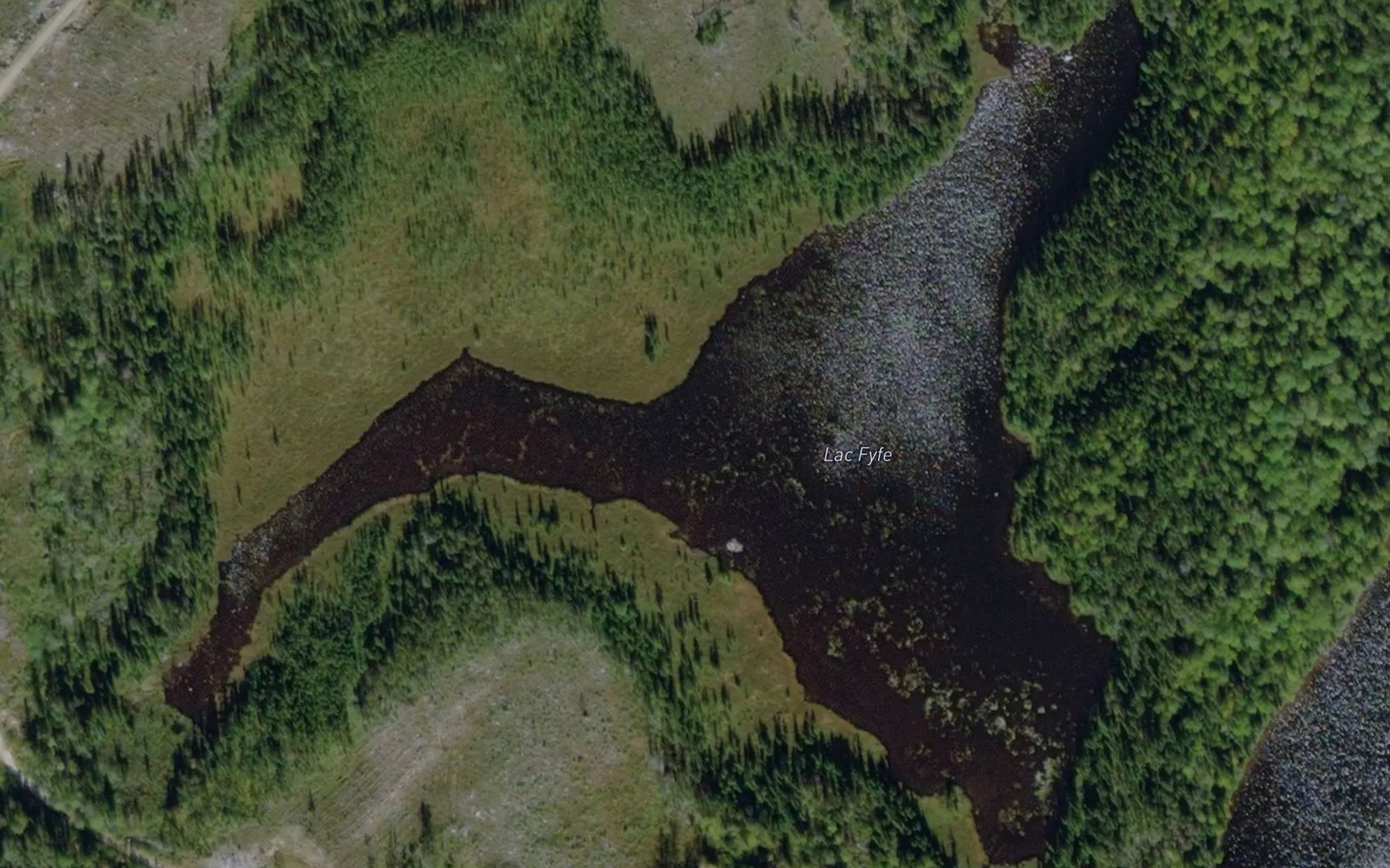 Satellite map of the Lac Fyfe