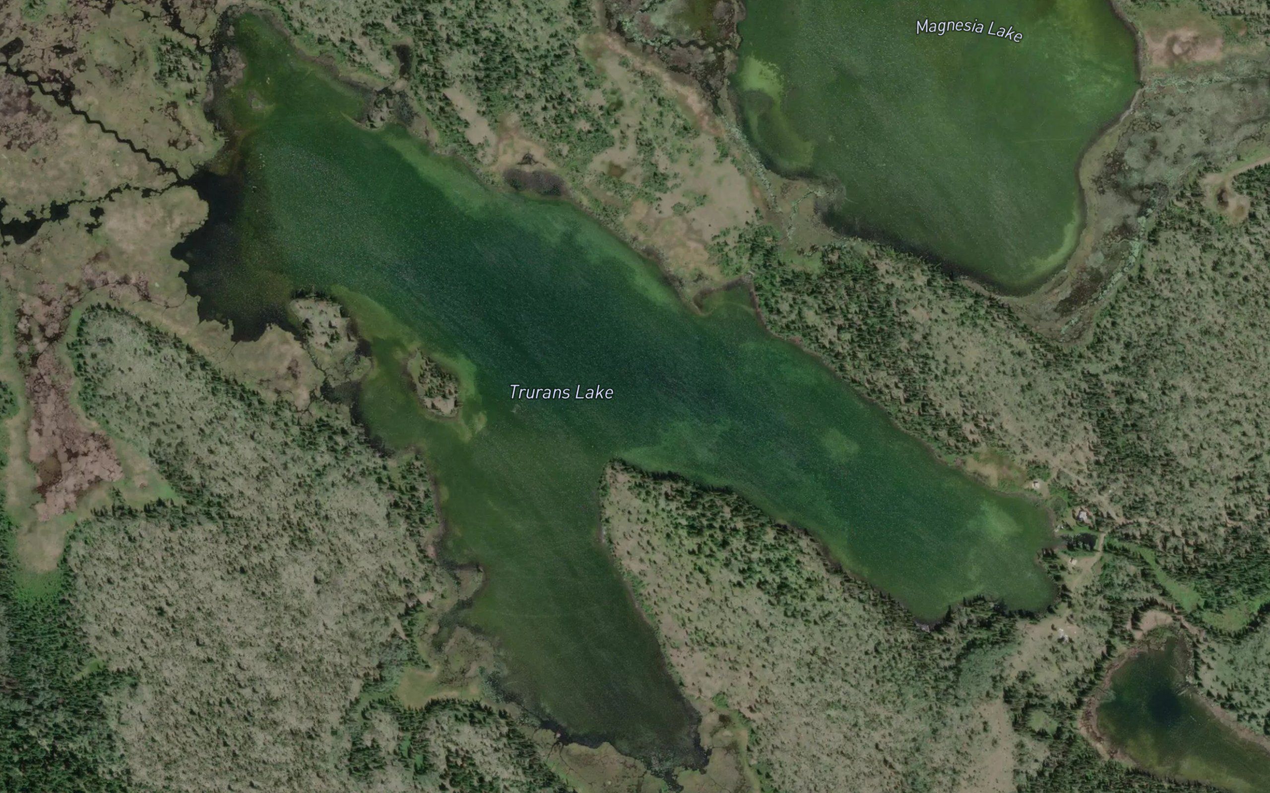 Trurans Lake