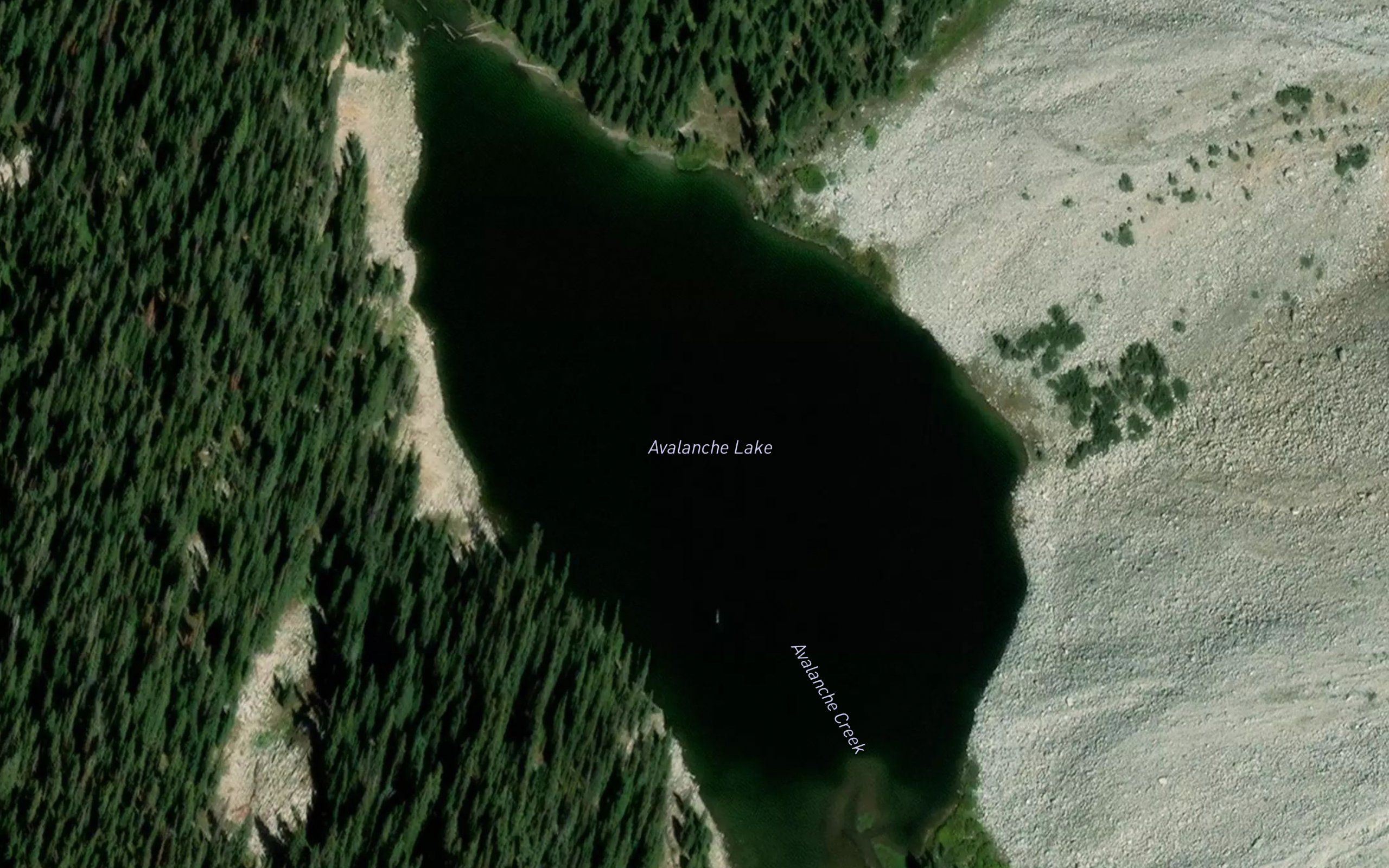 Avalanche Lake