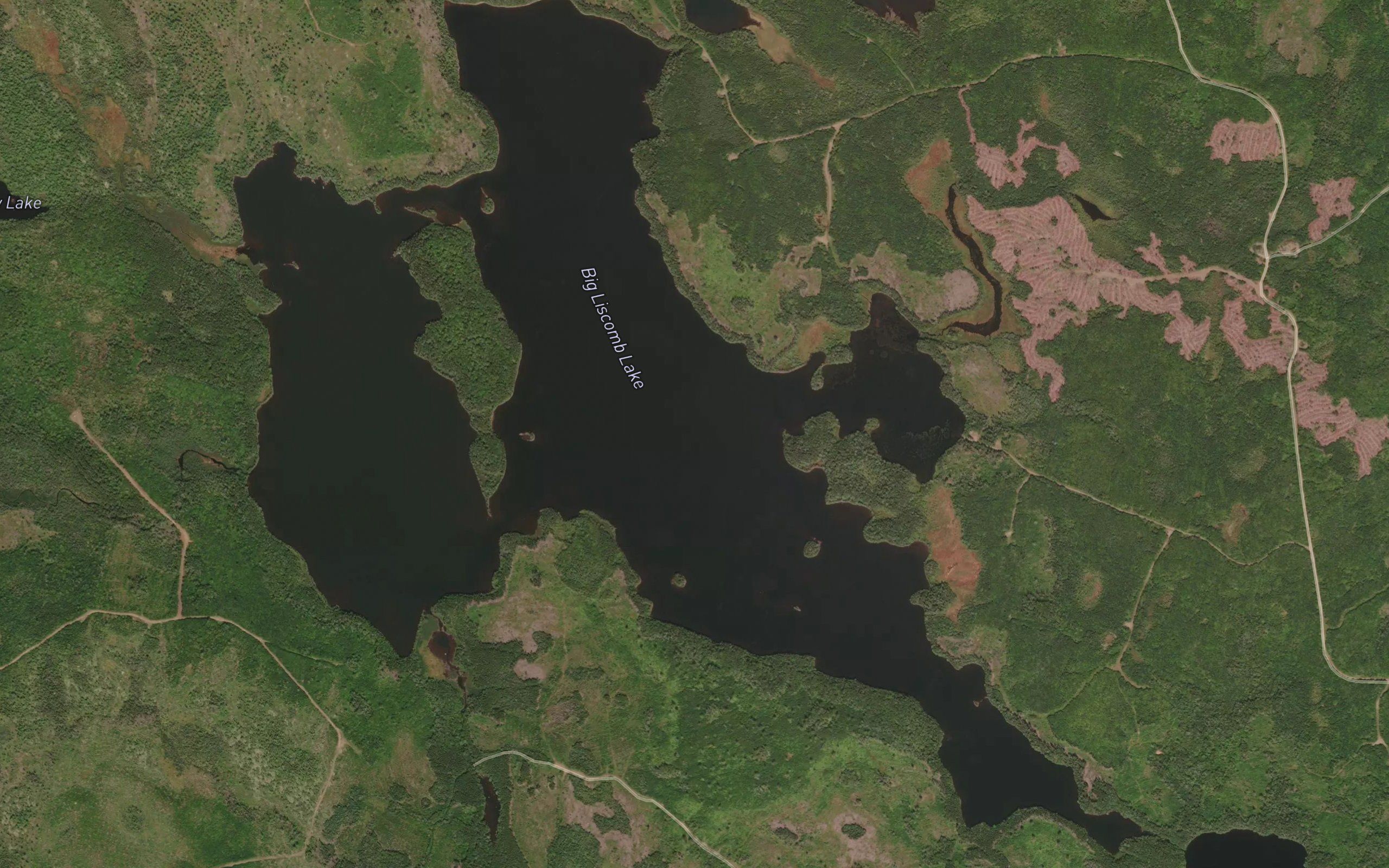 Big Liscomb Lake