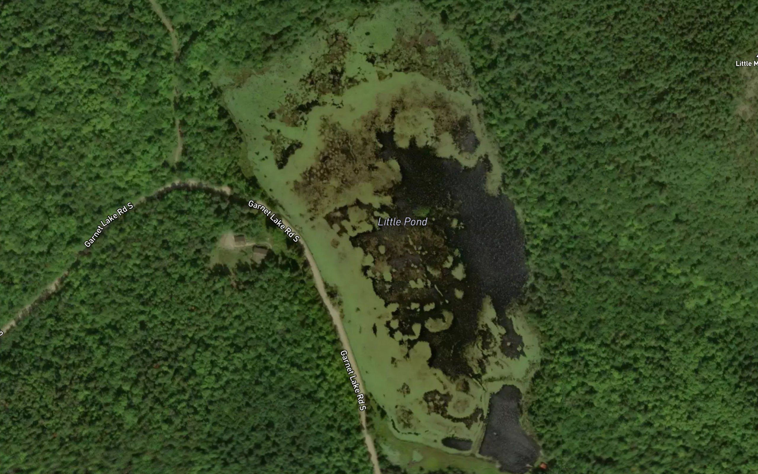Little Pond