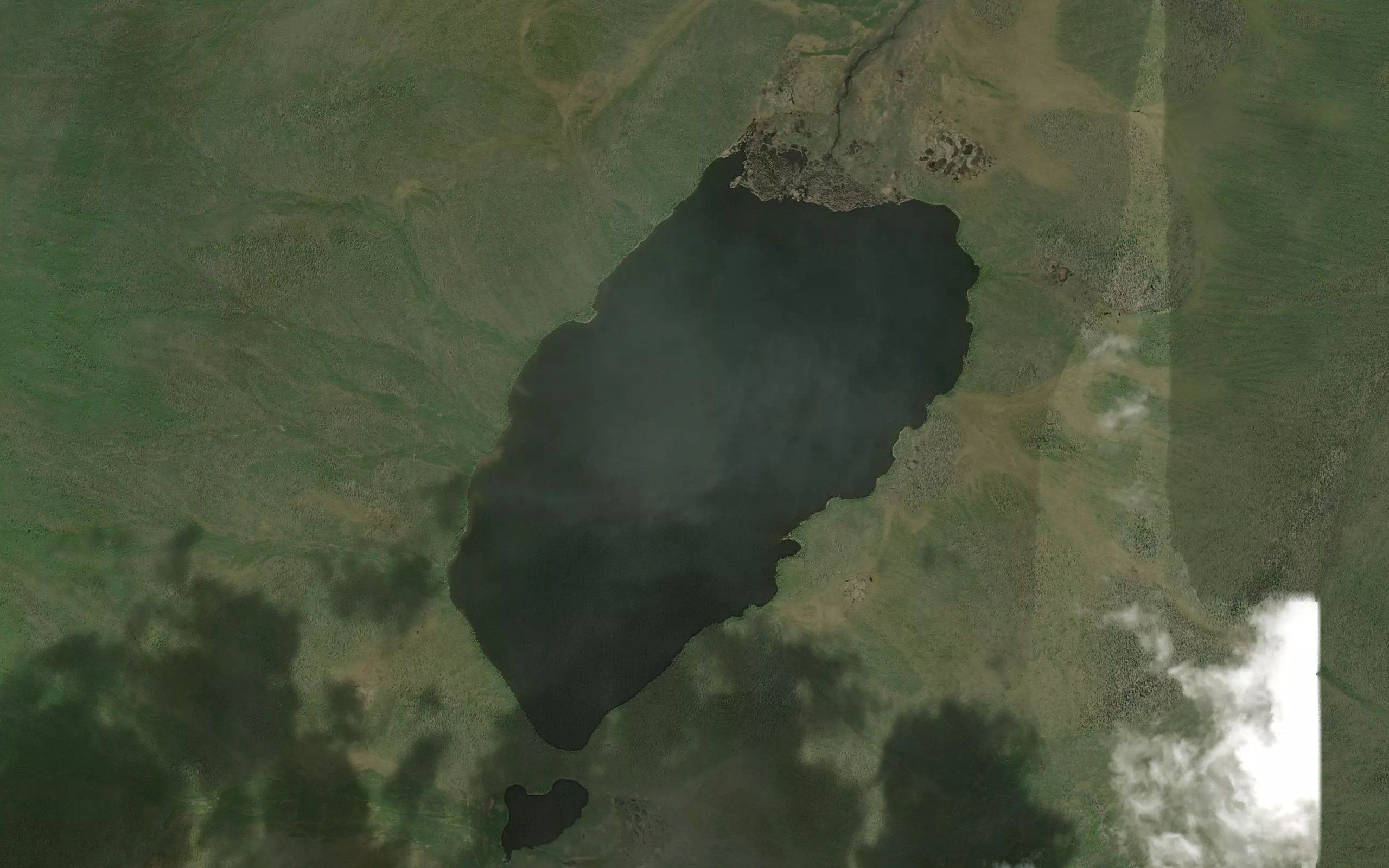 Brown Grass Lake
