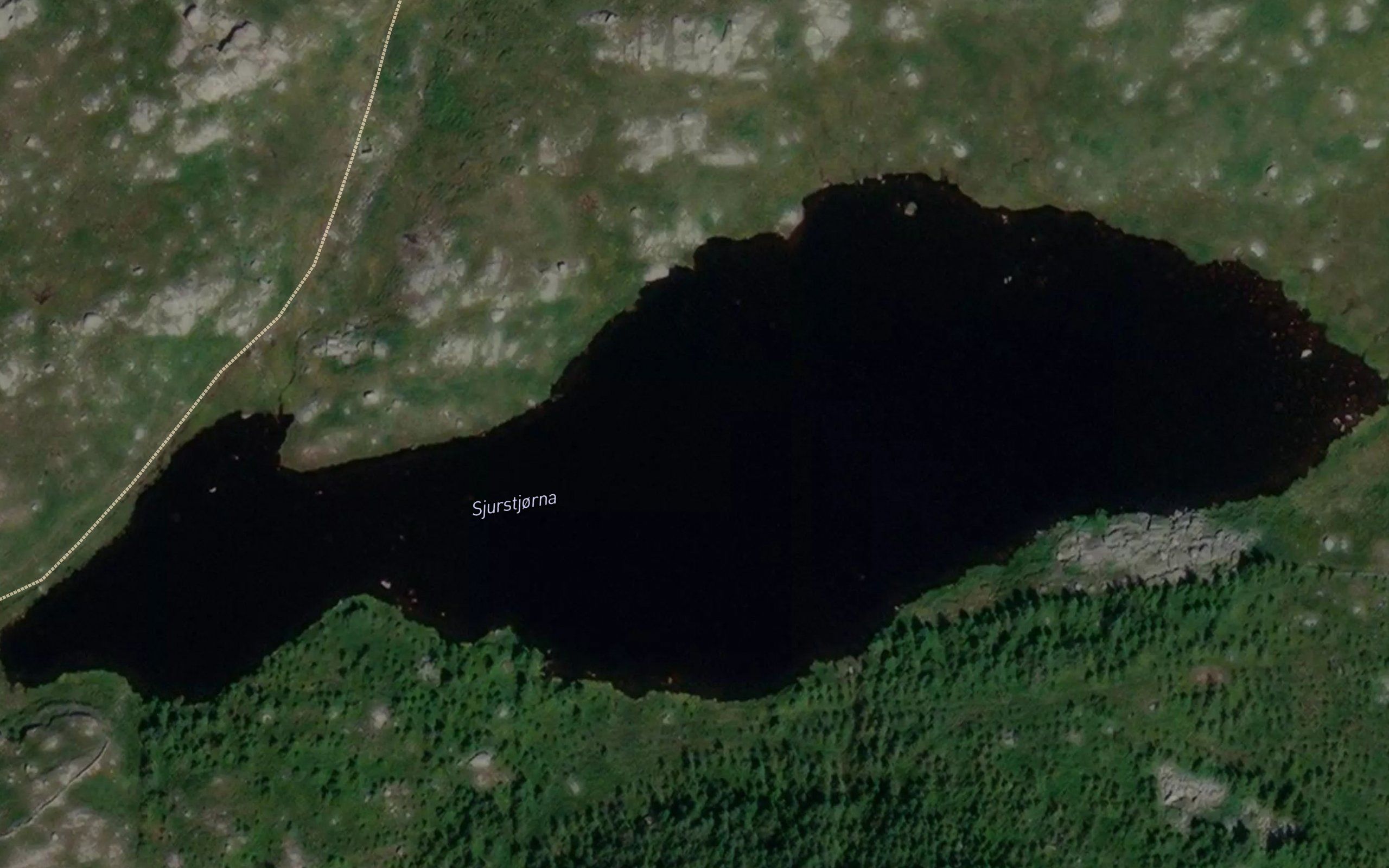 Sjurstjorna