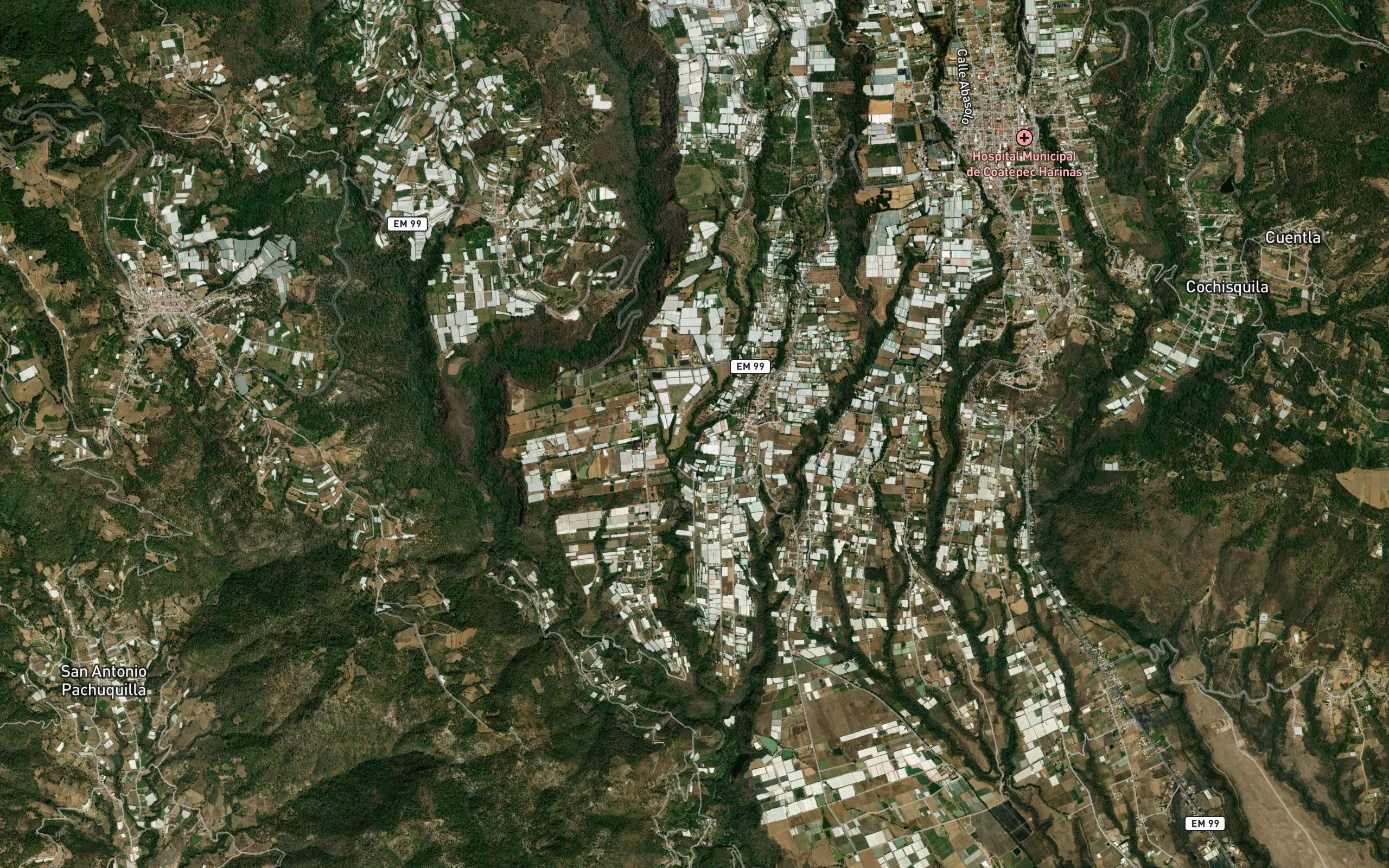 La Colmena