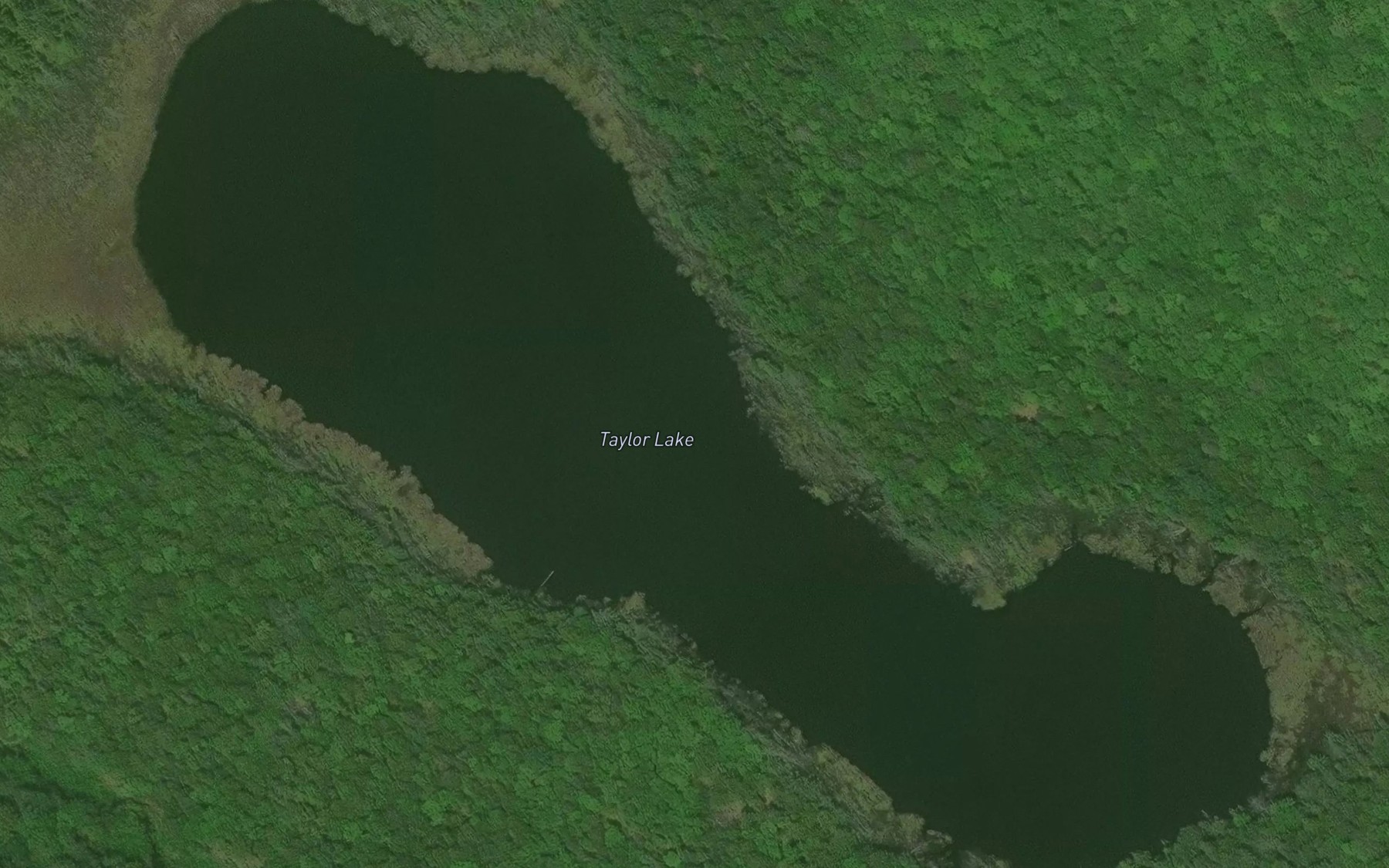 Satellite map of the Taylor Lake