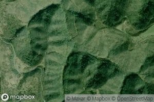 Papaw Branch