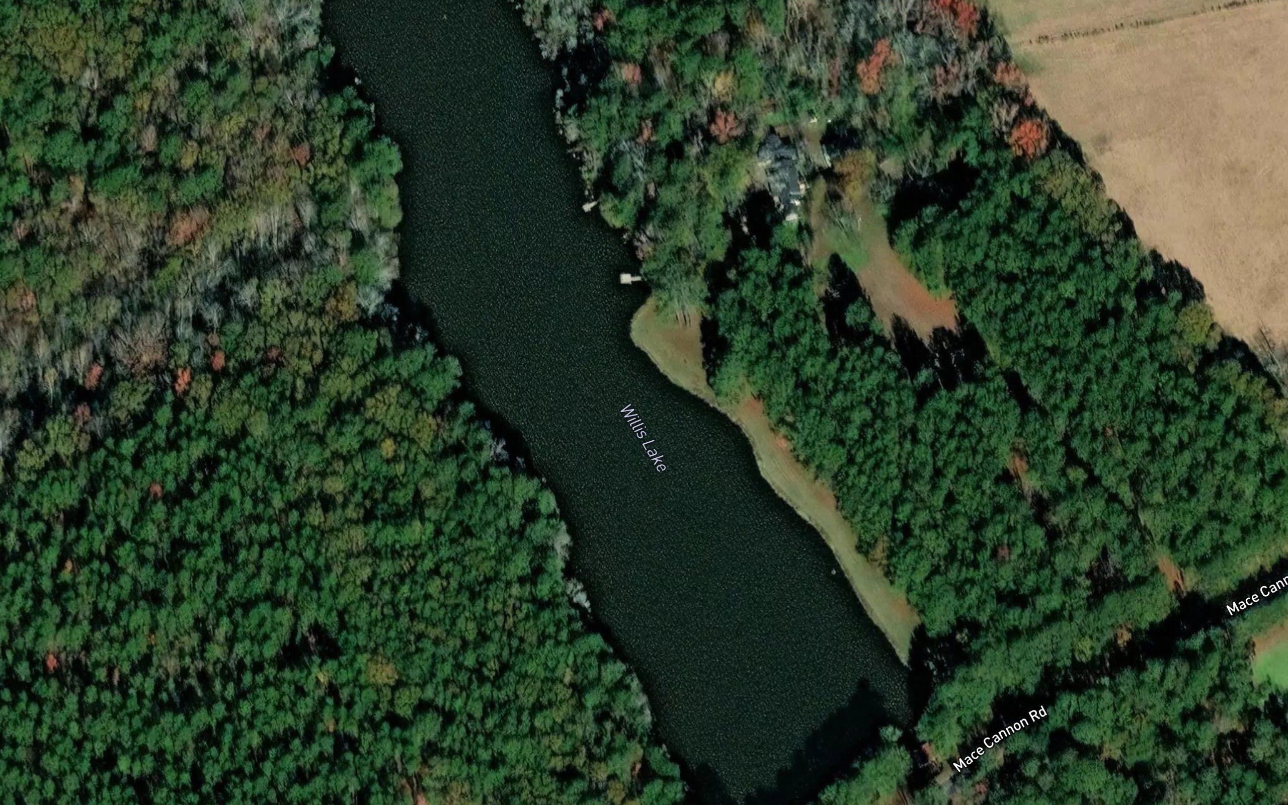 Willis Lake