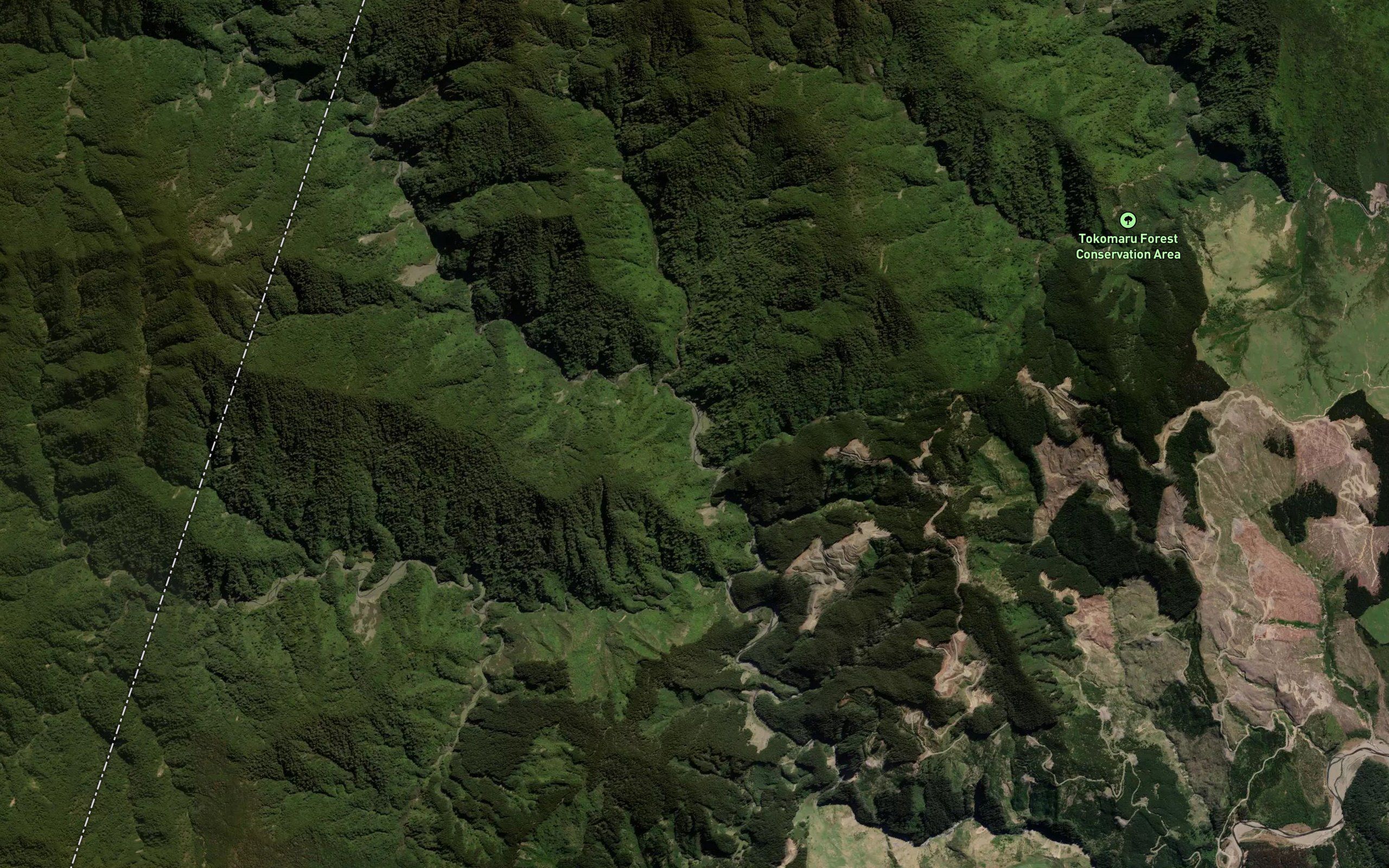 Ruatahunga Stream