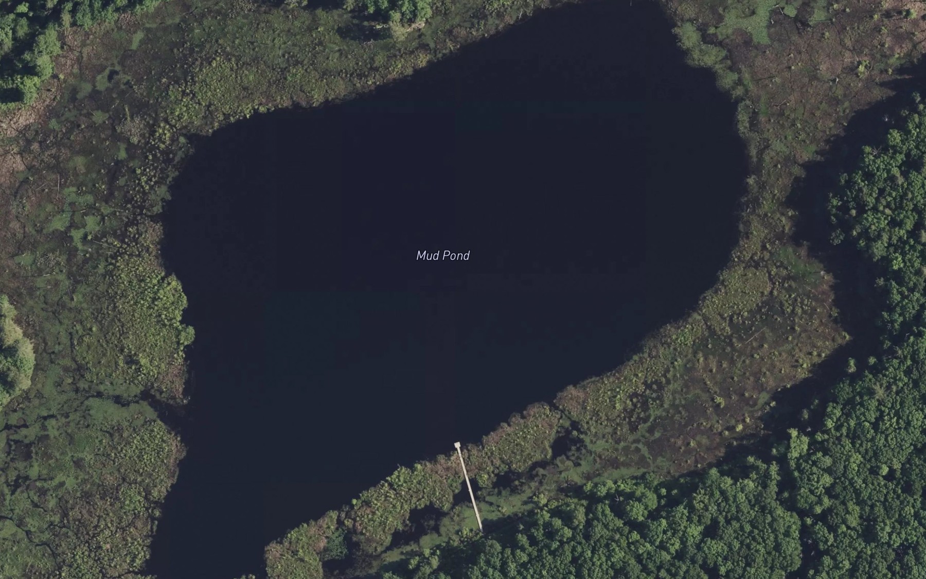 Satellite map of the Mud Pond