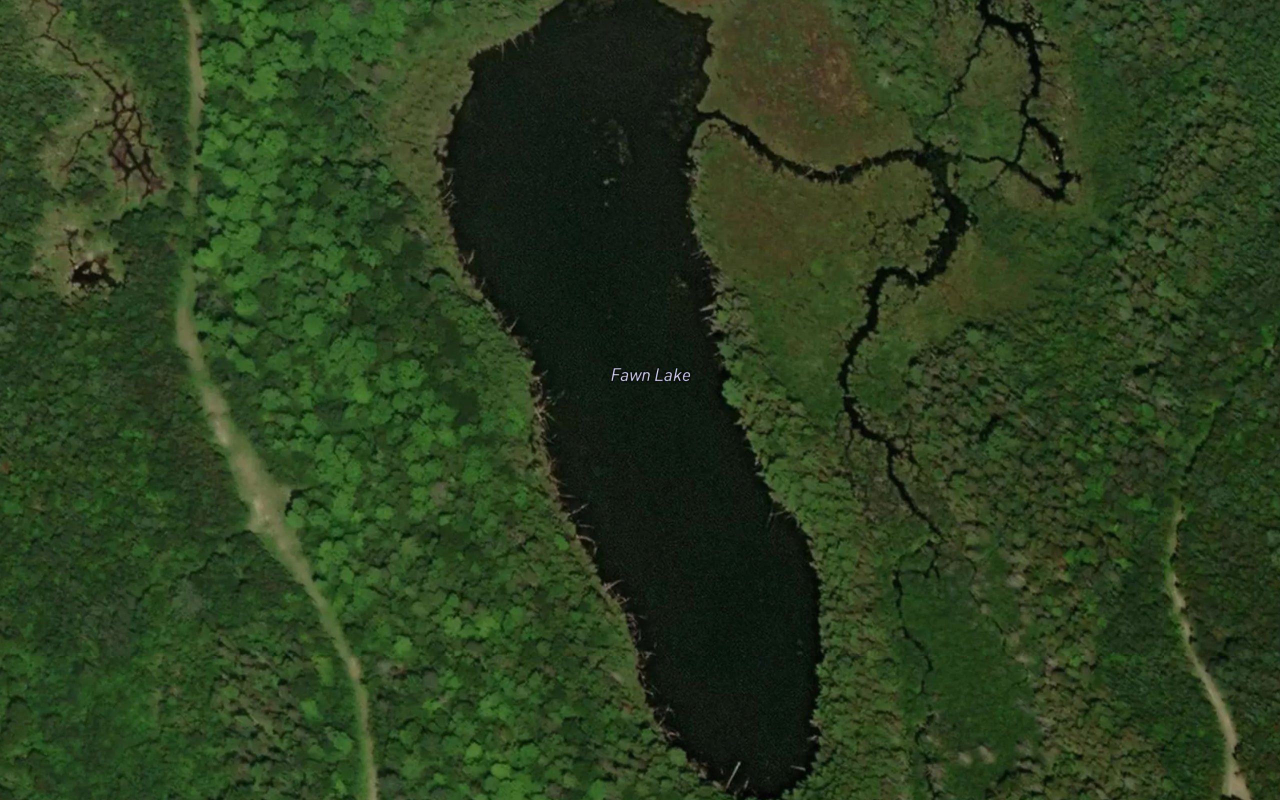 Fawn Lake