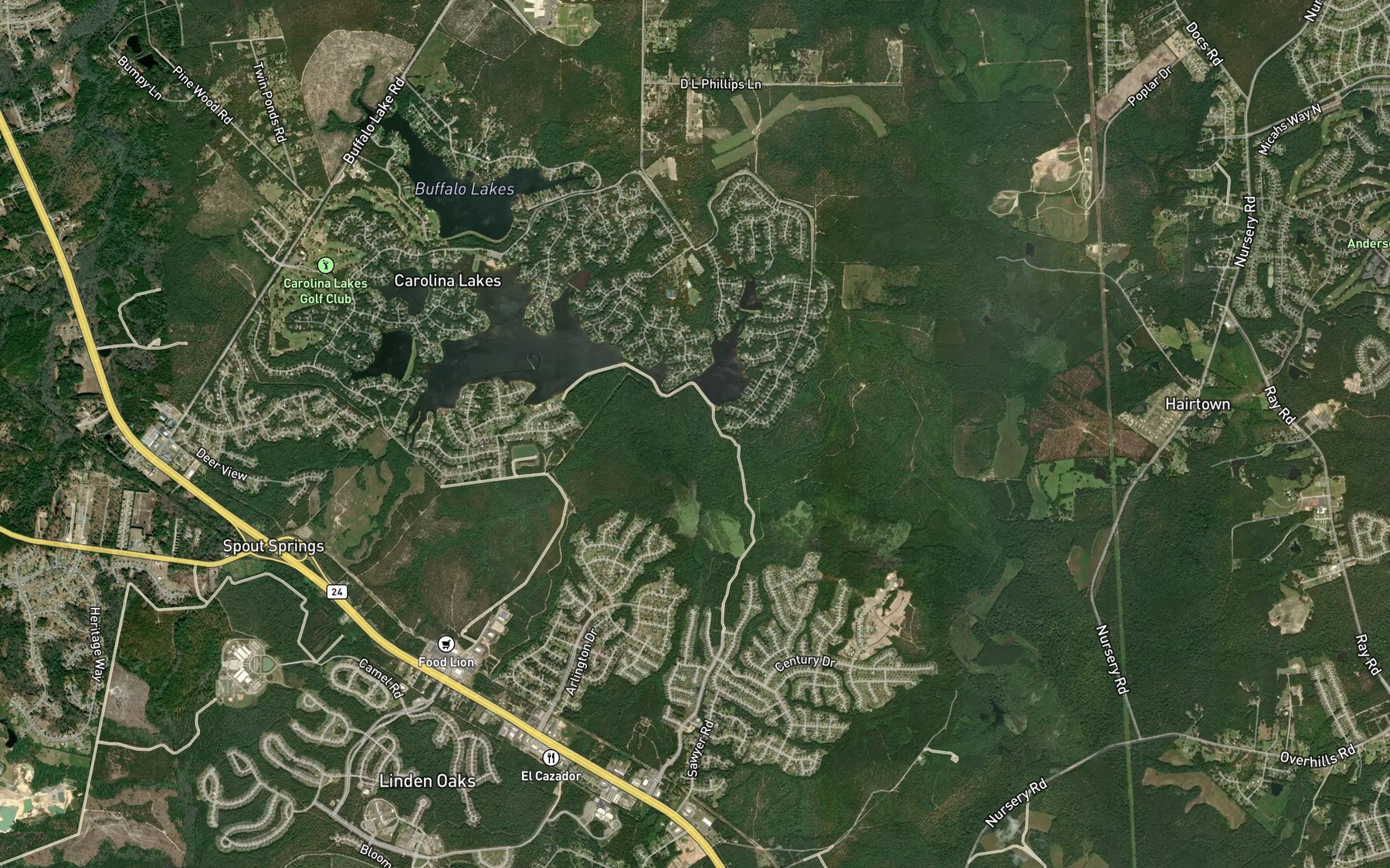 Satellite map of the Silver Run Lake