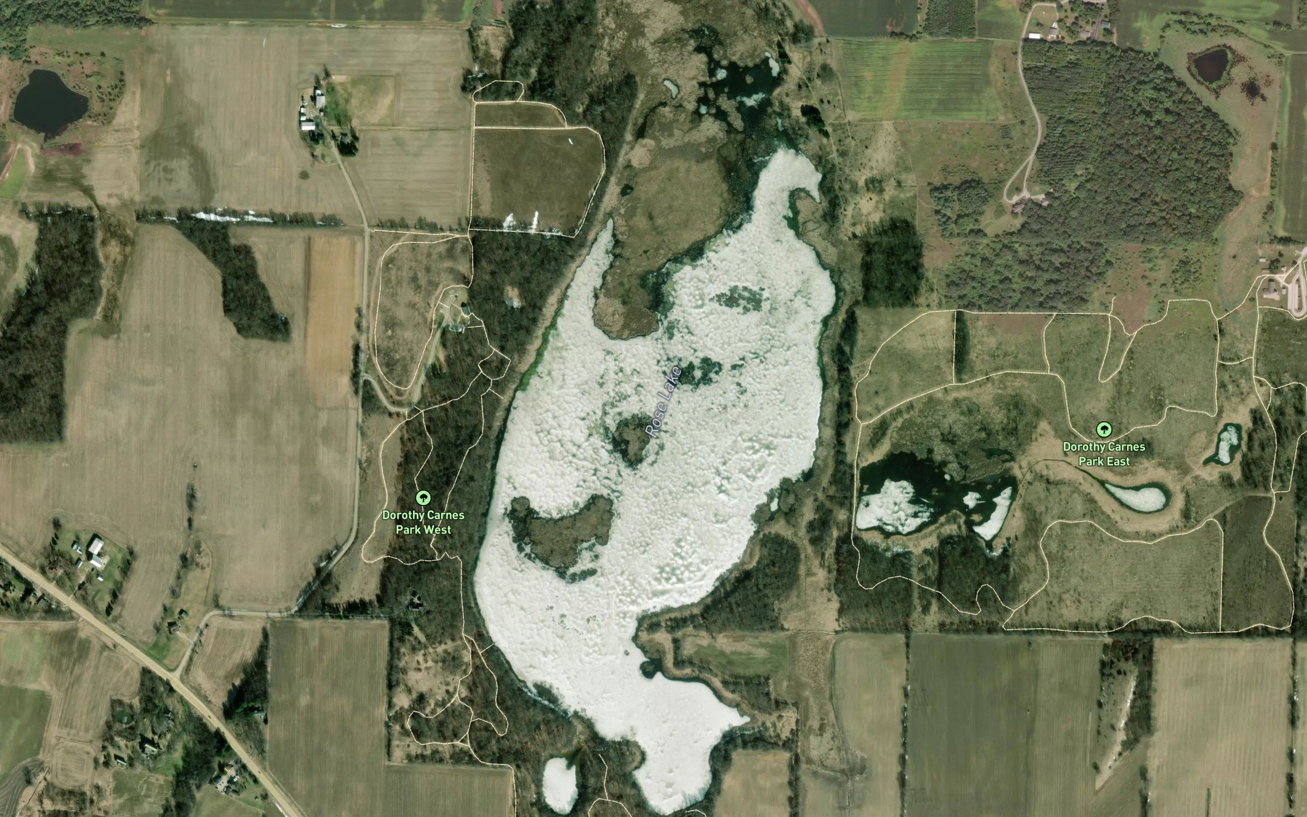Rose Lake