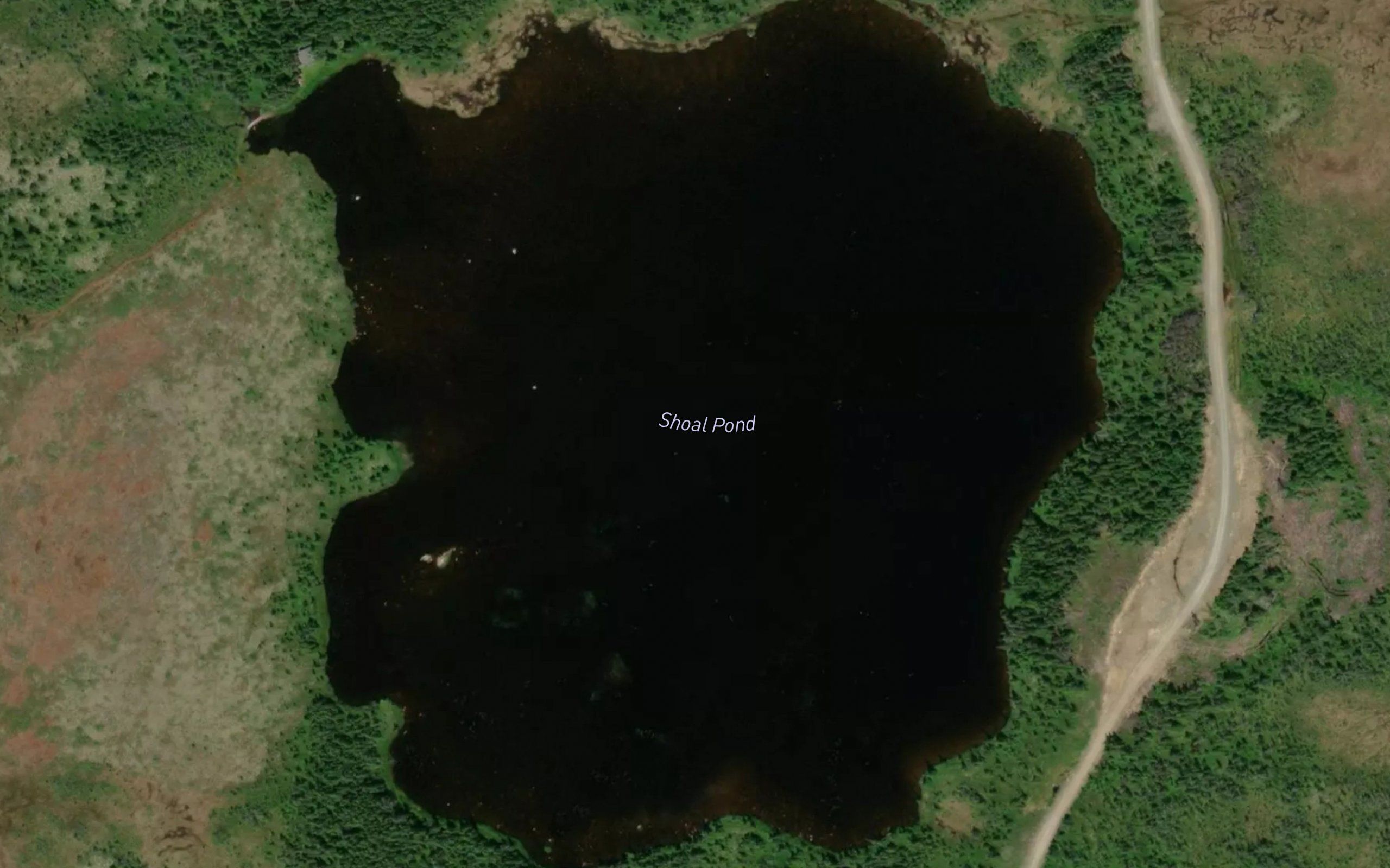 Shoal Pond