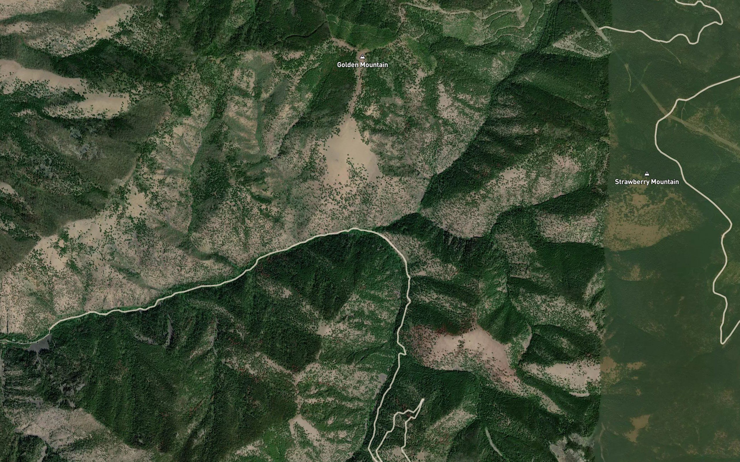 North Fork Brewster Creek